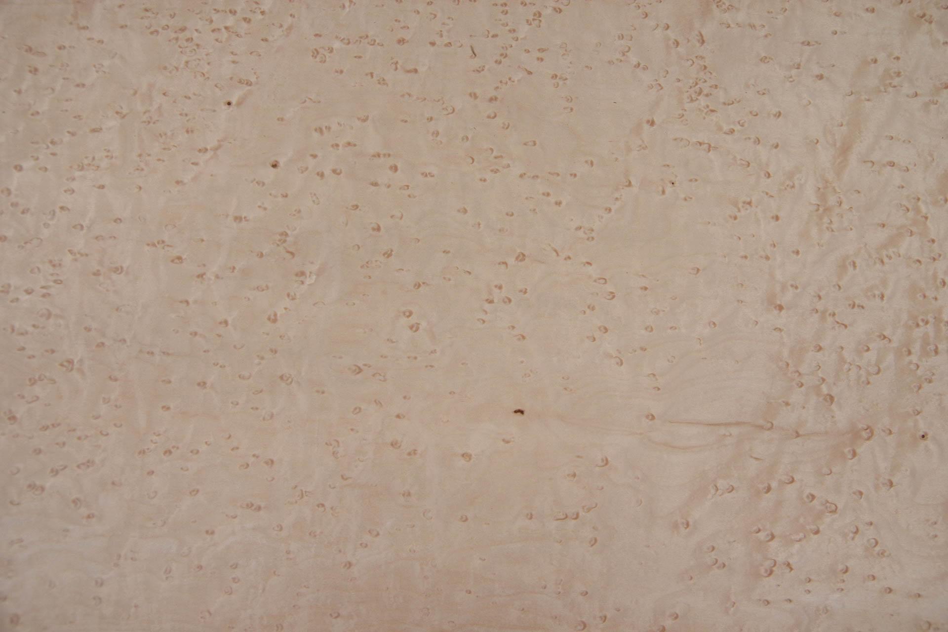 Templin-Furnier-Shop - Birdseye Maple, - veneer (0,6mm) - 2,86m² 
