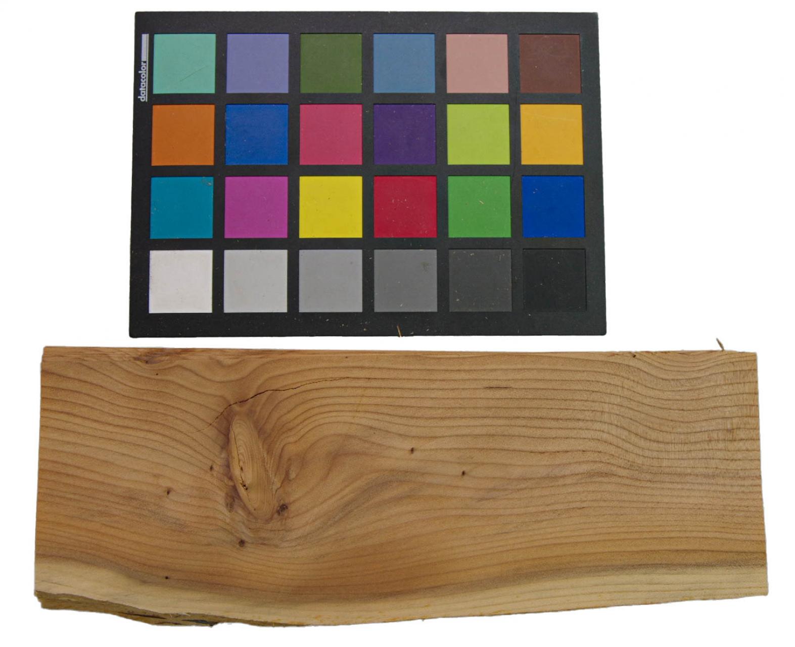 Yewtree, veneer with Colour reference card