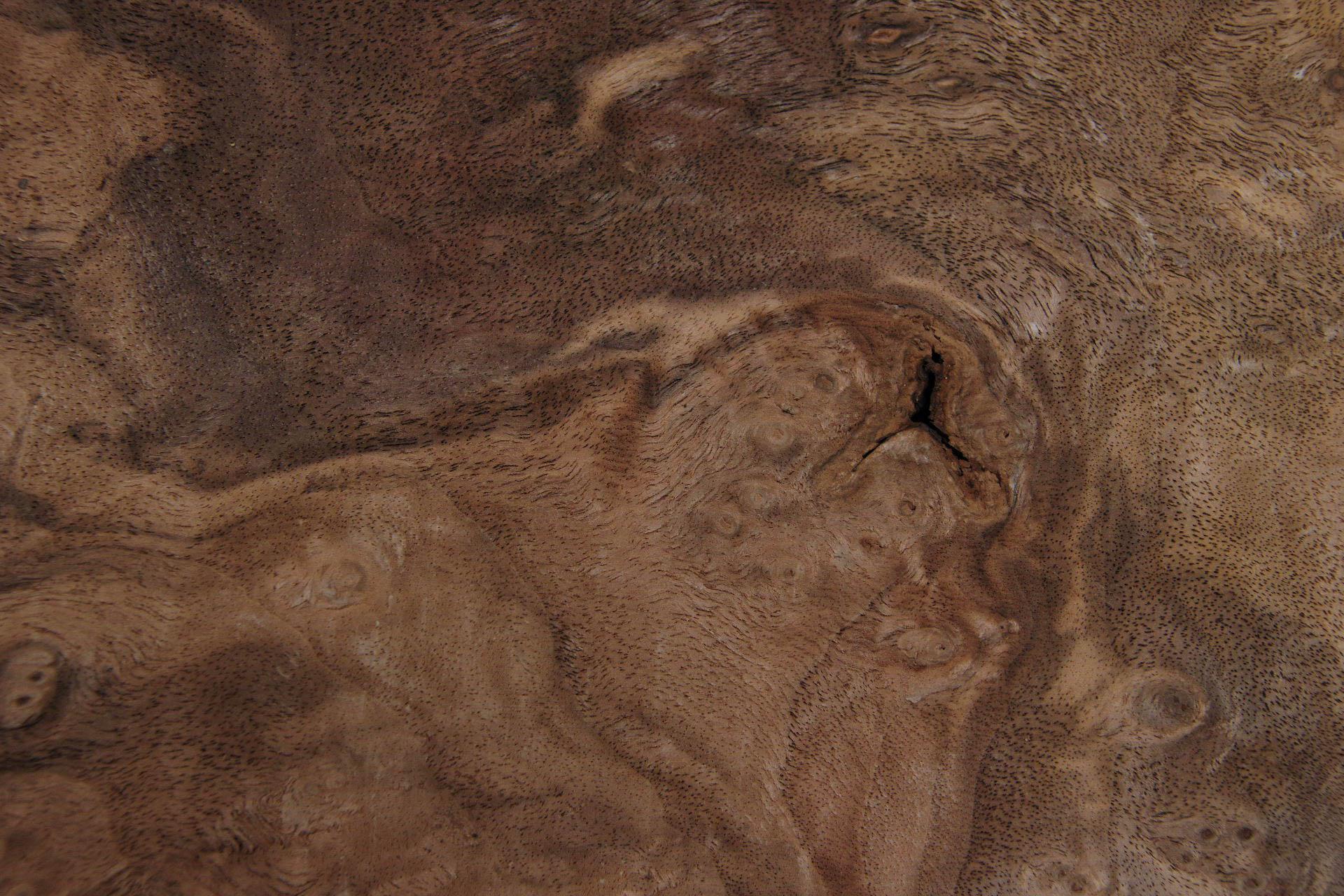 Californian Walnut Burl, - veneer (1,8mm) - 0,22m² (5pcs. x 34cm x 13cm)