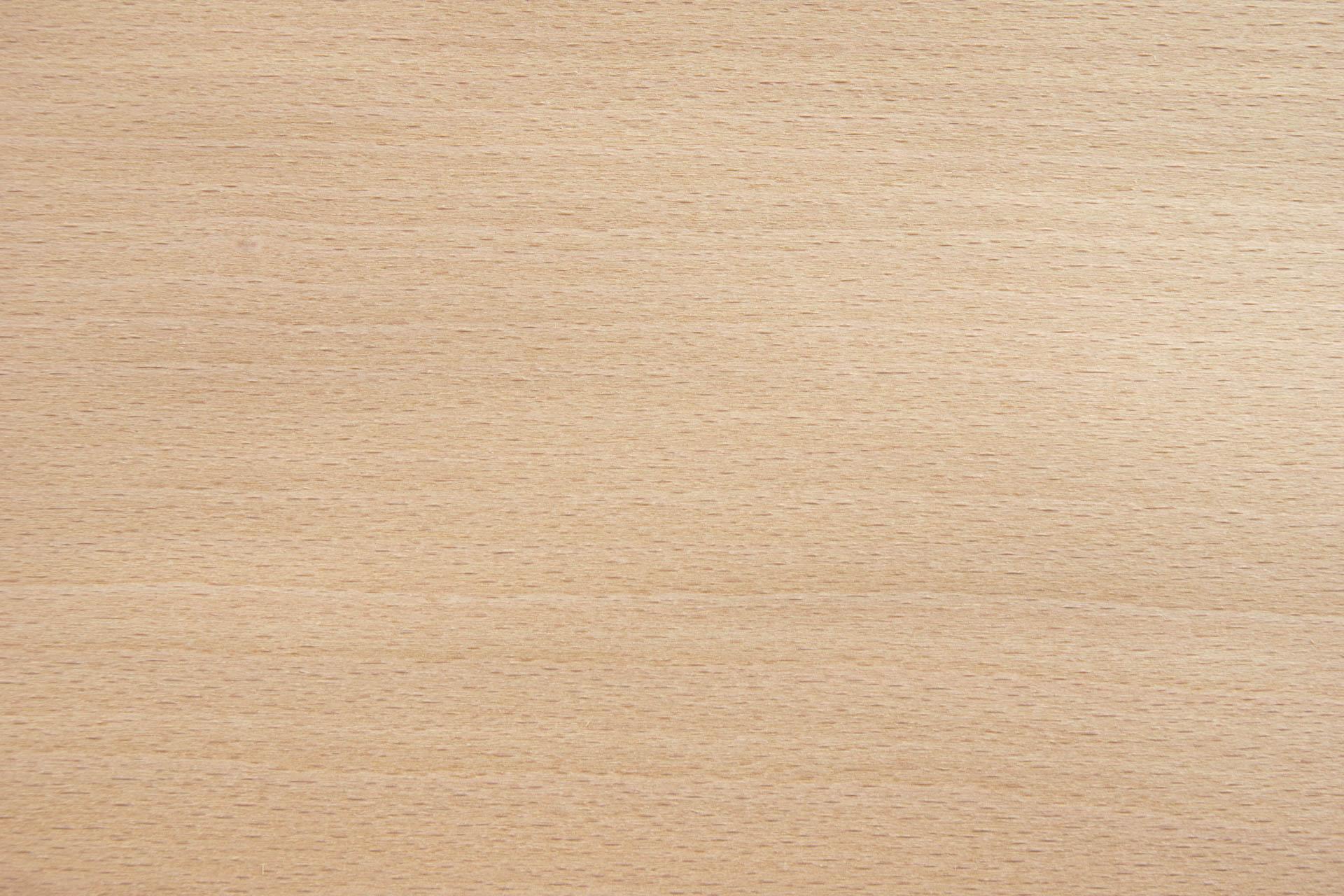 Beech, veneer