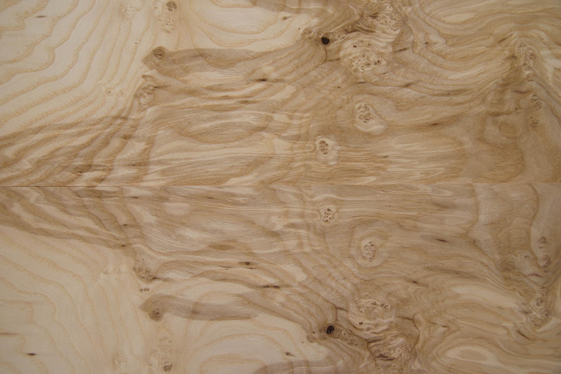 Esche Maser; oliv -Furnier (0,6mm) - 0,93m² (6Stk. x 97cm x 16cm)