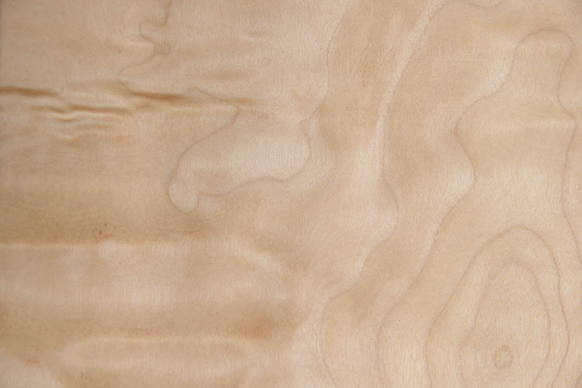 Quilted Maple (Muschelahorn) -Furnier (0,6mm) - 0,38m² (15Stk. x 12cm x 21cm)