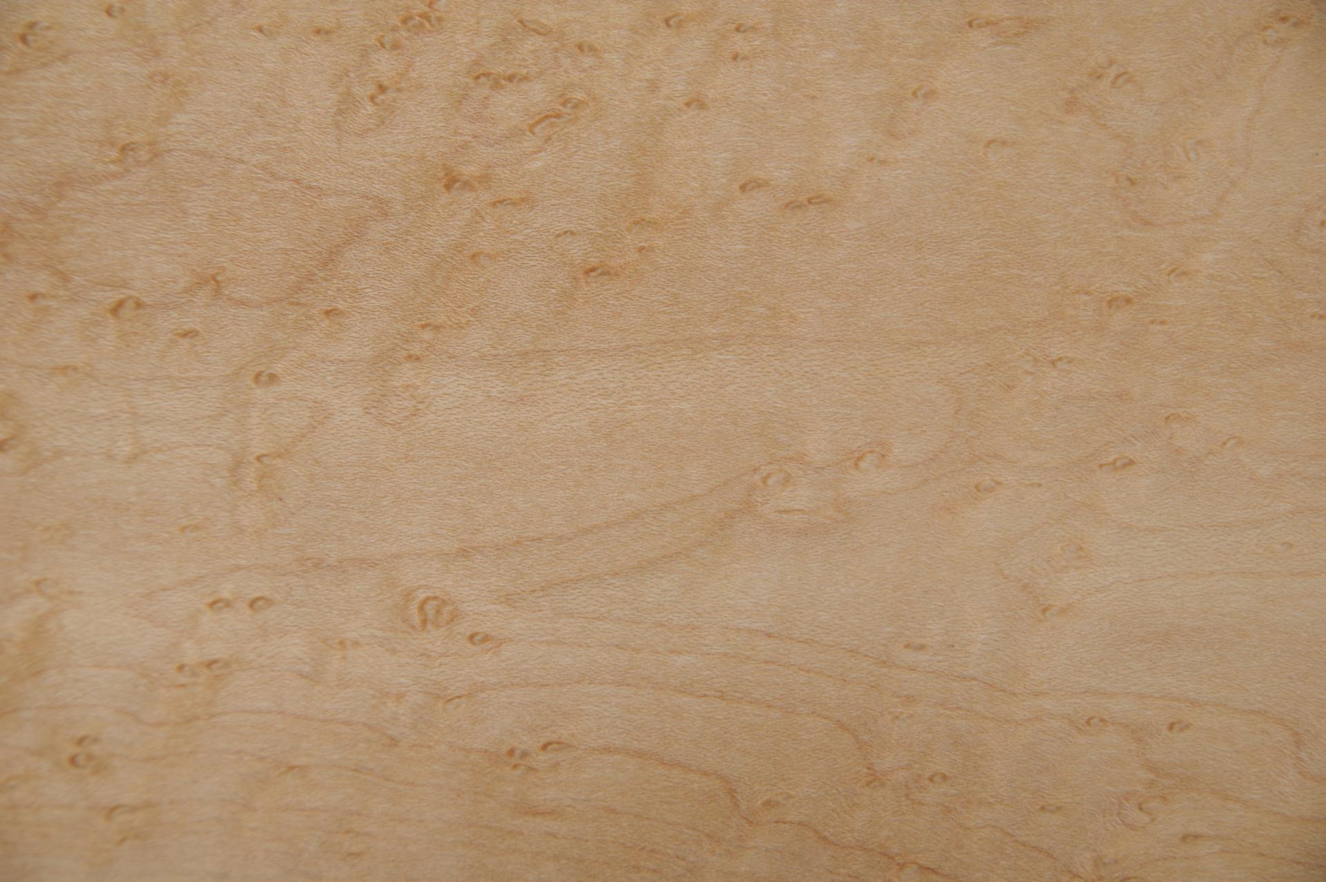 Vogelaugenahorn -Furnier (0,6mm) - 0,25m² (10Stk. x 22cm x 11,5cm)