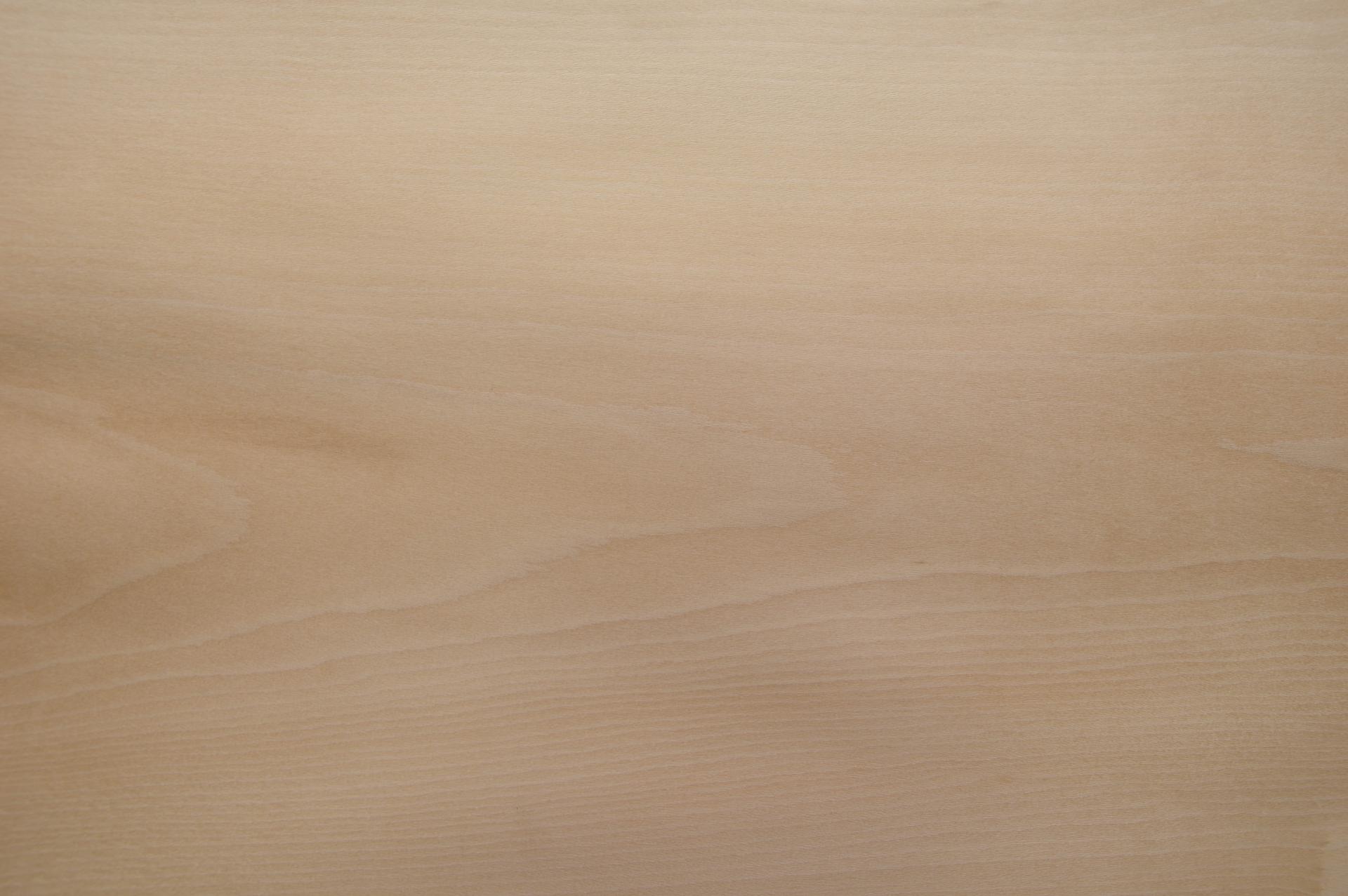 0.6mm Platane Furnier 4.48m² Y 23 59 33