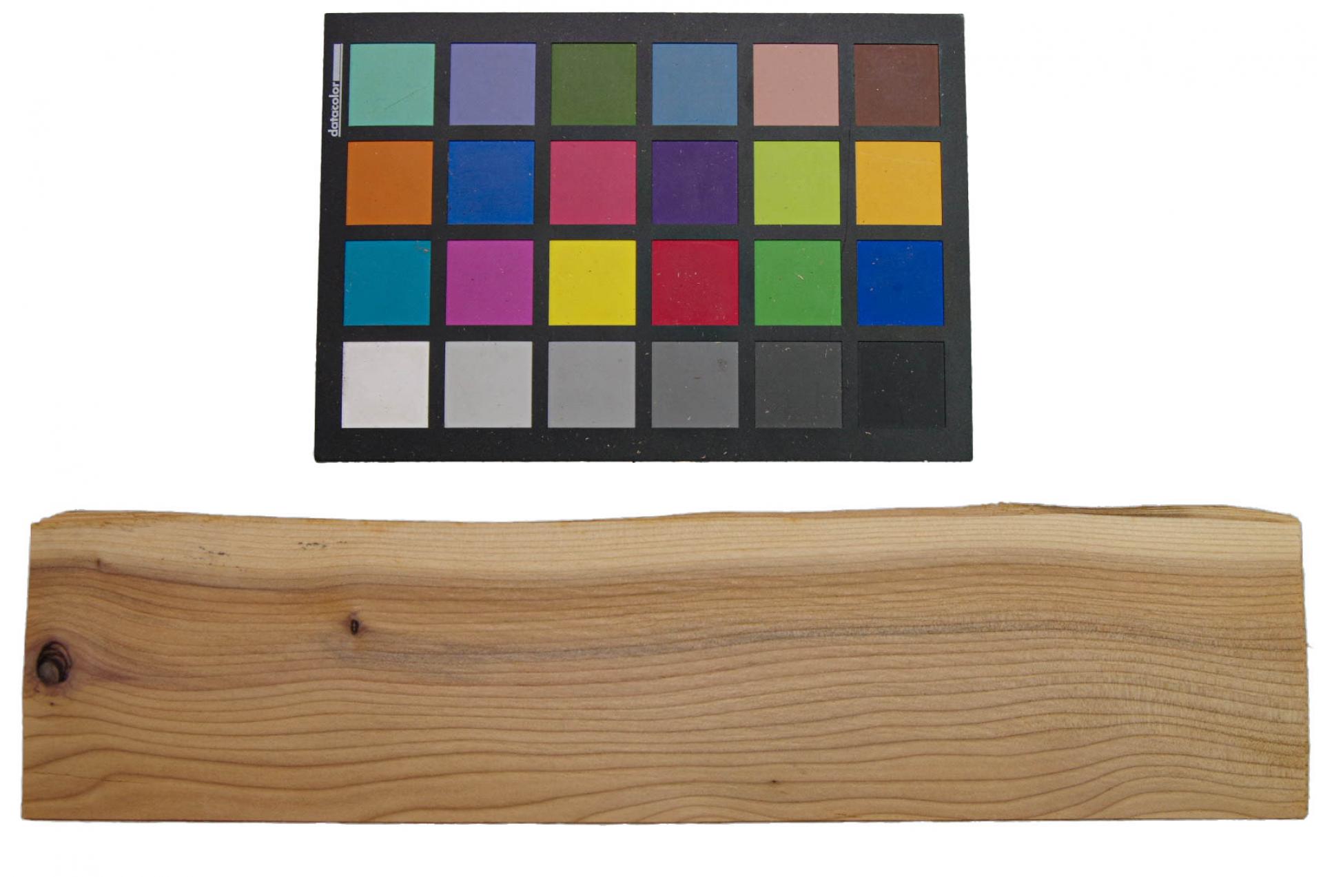 Yewtree, veneer with Colour reference card