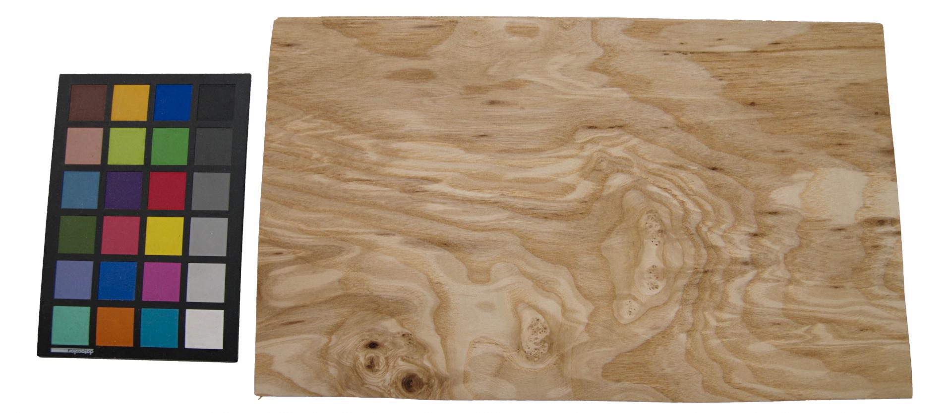 Esche Maser; oliv -Furnier (0,6mm) - 0,94m² (9Stk. x 42cm x 25cm)