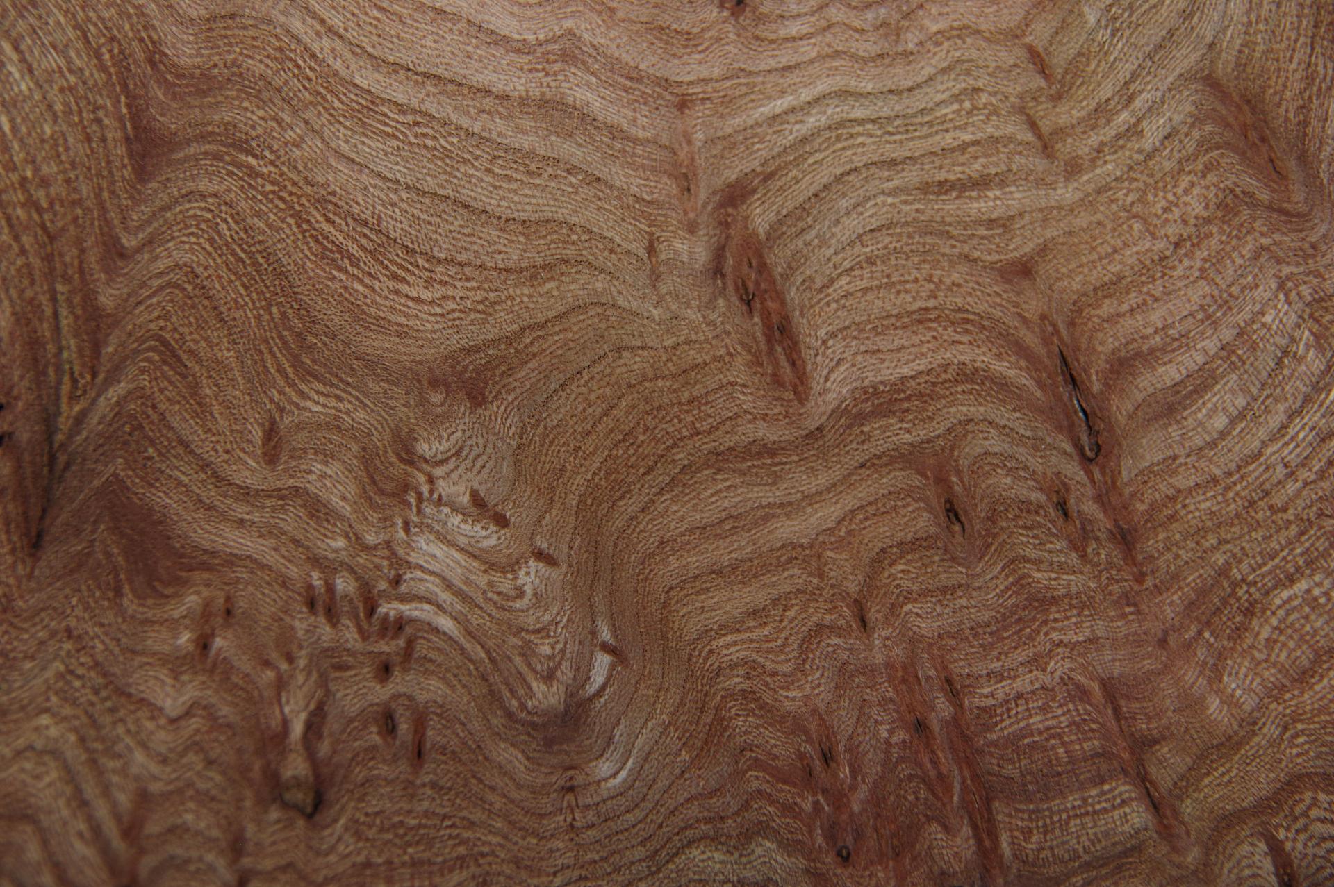 Rüster (Ulme) Halbmaser -Furnier (0,6mm) - 0,23m² (16Stk. x 12cm x 12cm)