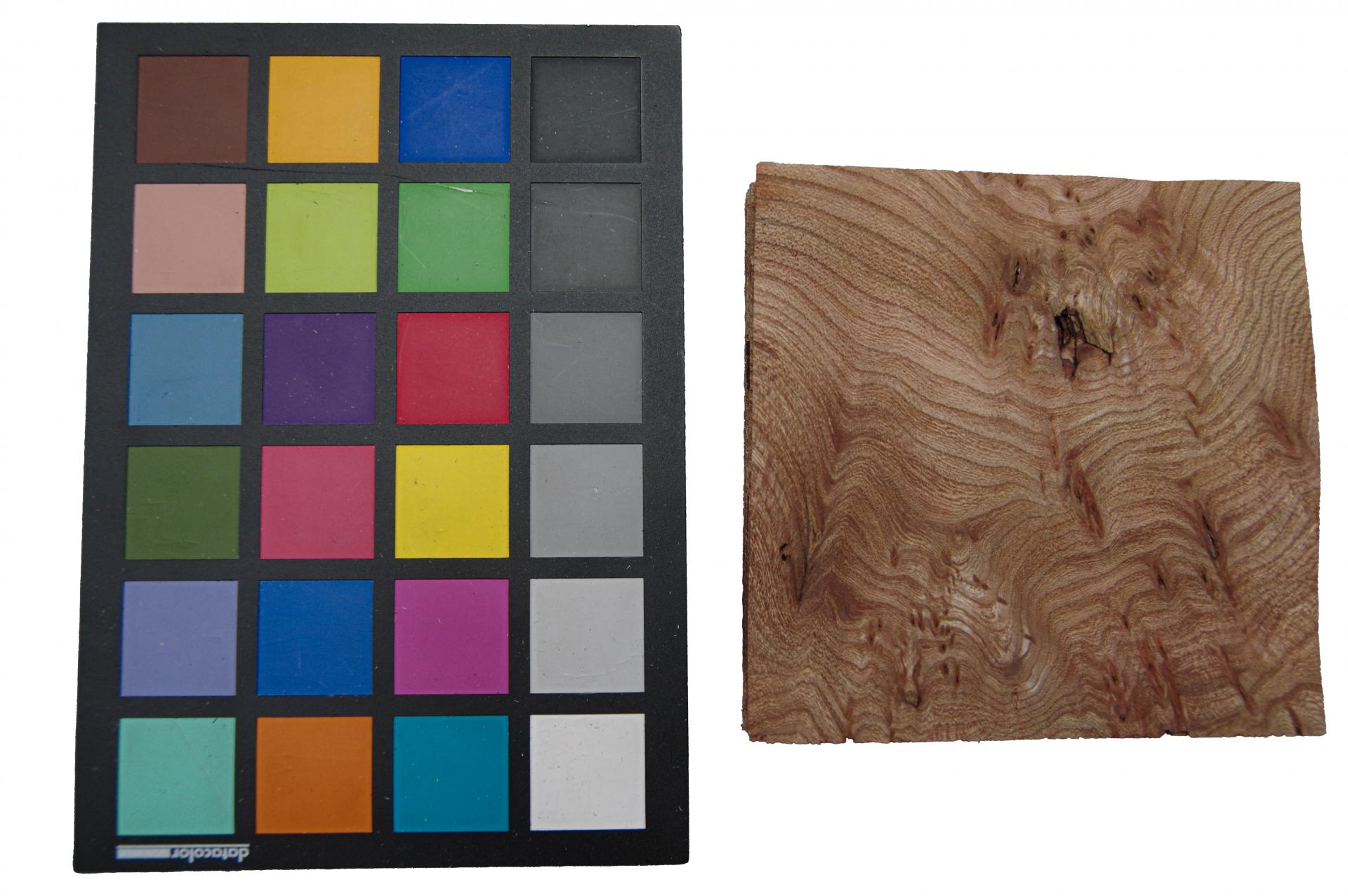 Rüster (Ulme) Halbmaser -Furnier (0,6mm) - 0,23m² (16Stk. x 12cm x 12cm)