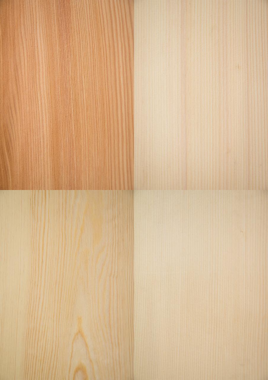 Echtholz-Furniermuster-Set  mit 12 europäischen Holzarten
