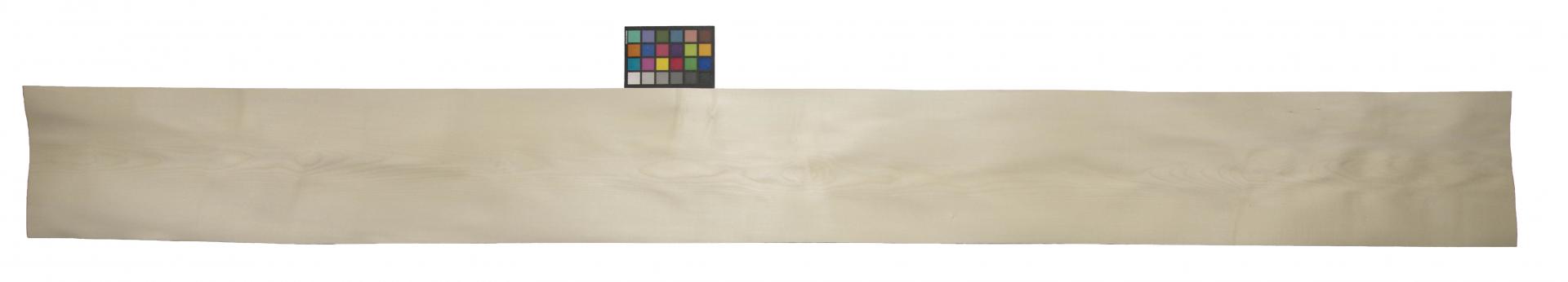 Ahorn, europäischer -Furnier (0,6mm) - 34,53m² (32Stk. x 327cm x 33cm)