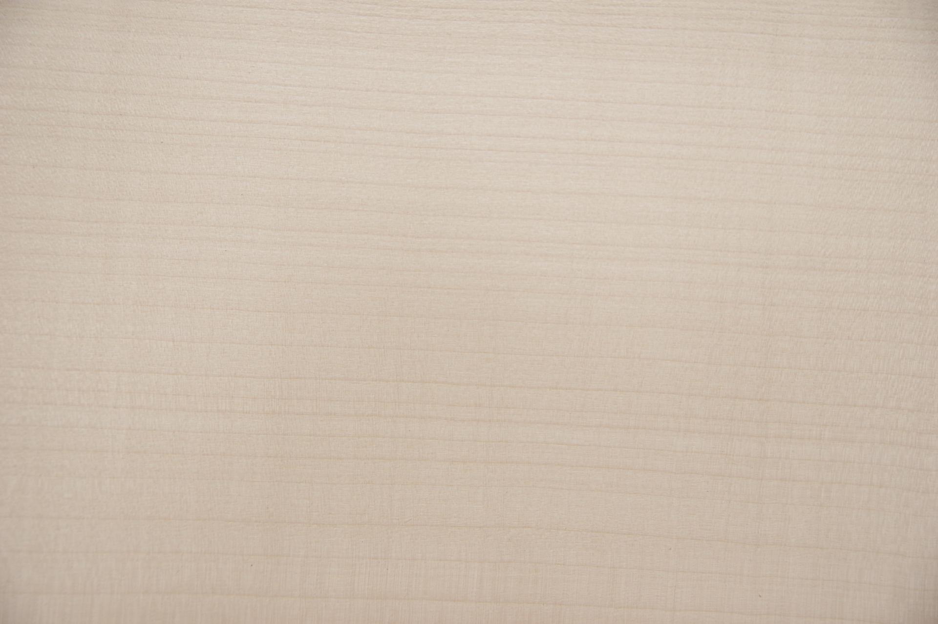 Ahorn, europäischer -Furnier (0,6mm) - 0,45m² (4Stk. x 59cm x 19cm)