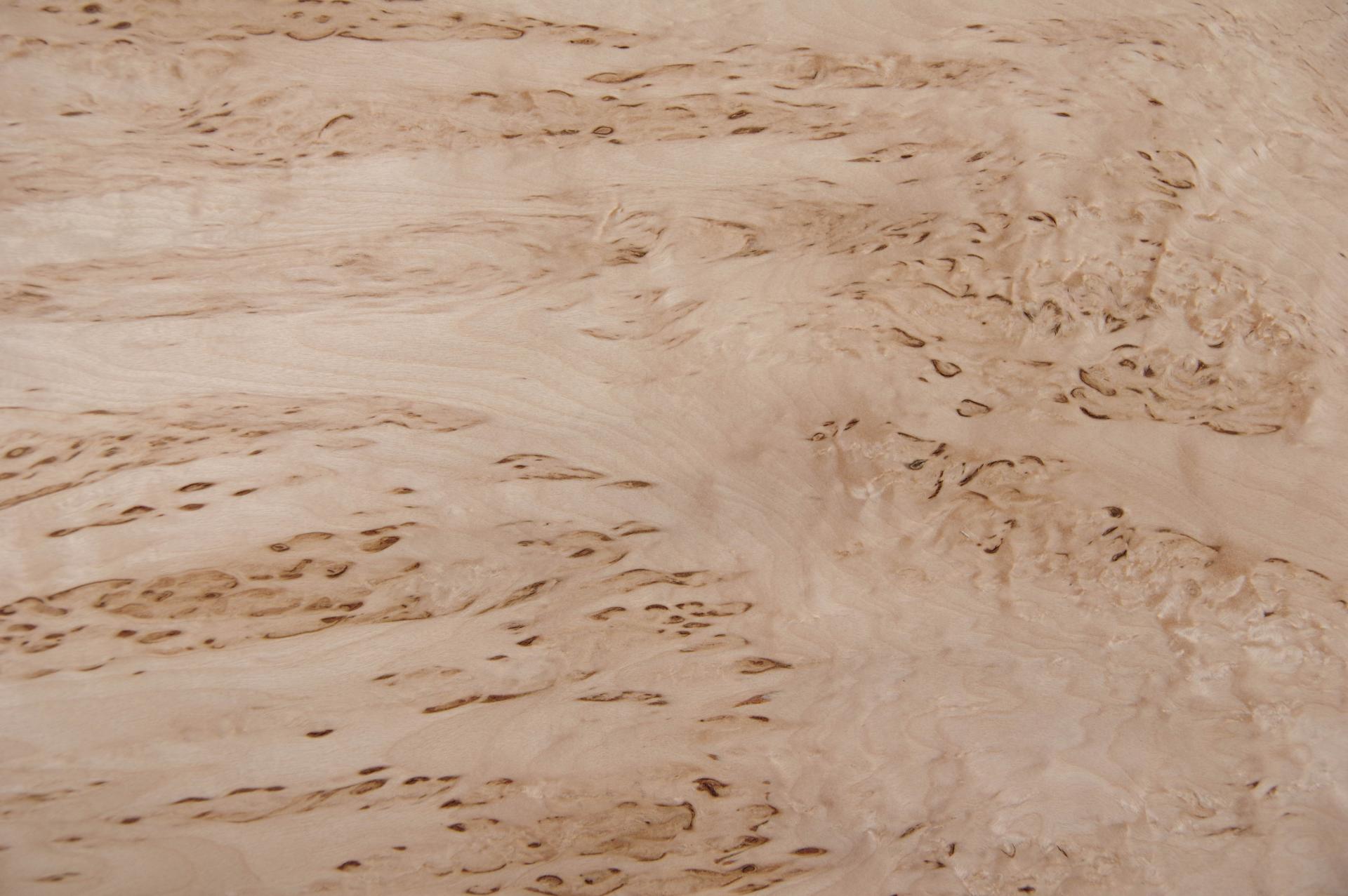 Birke Maser -Furnier (0,6mm) - 0,83m² (9Stk. x 51cm x 18cm)