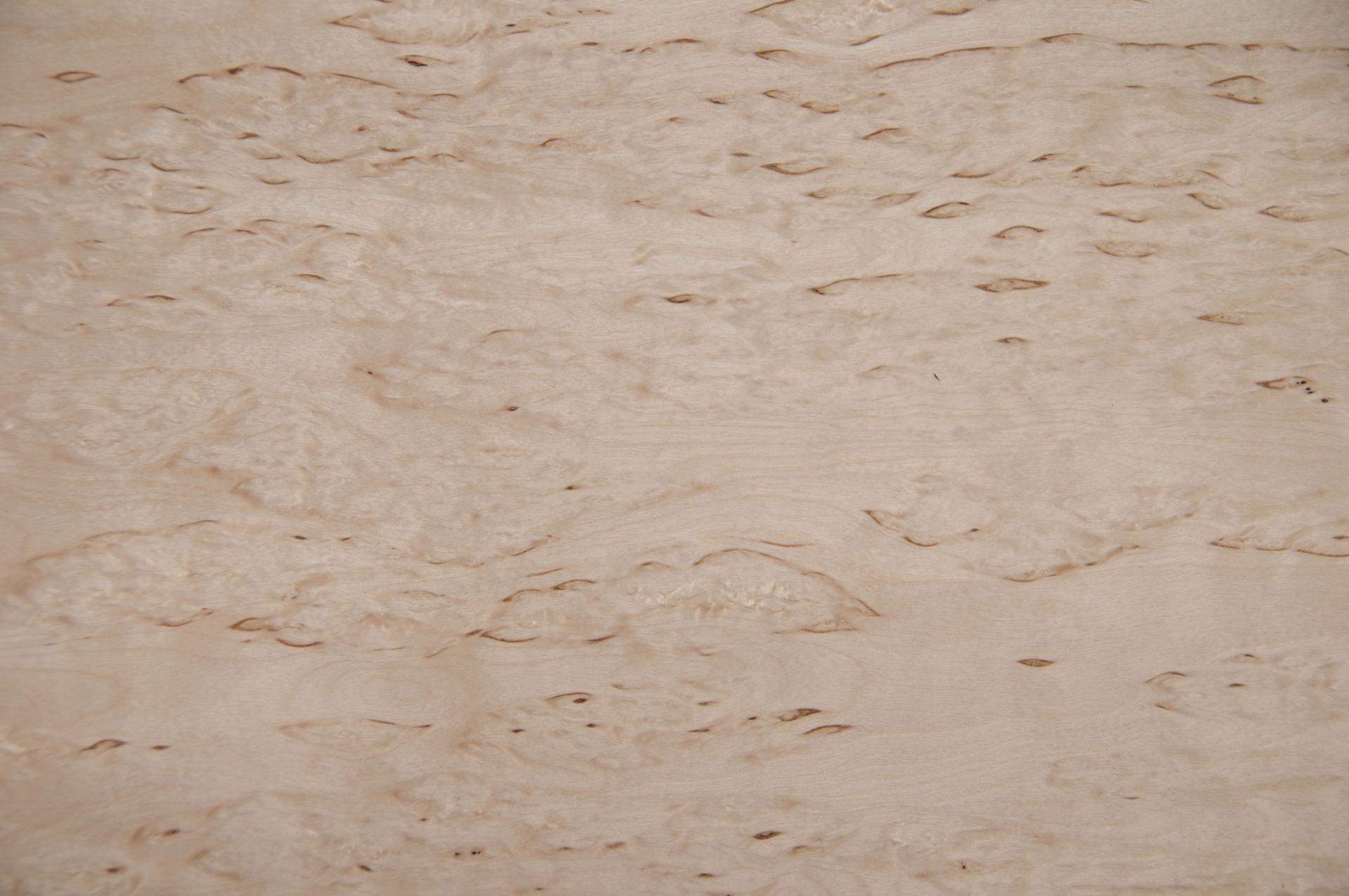Birke Maser -Furnier (0,6mm) - 0,58m² (5Stk. x 58cm x 20cm)