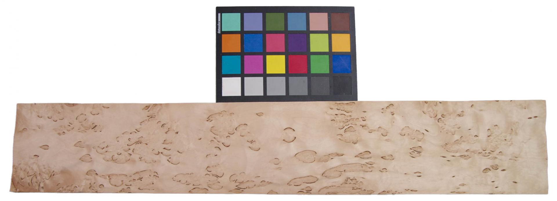 Birke Maser Furnier mit Farbreferenz-Karte