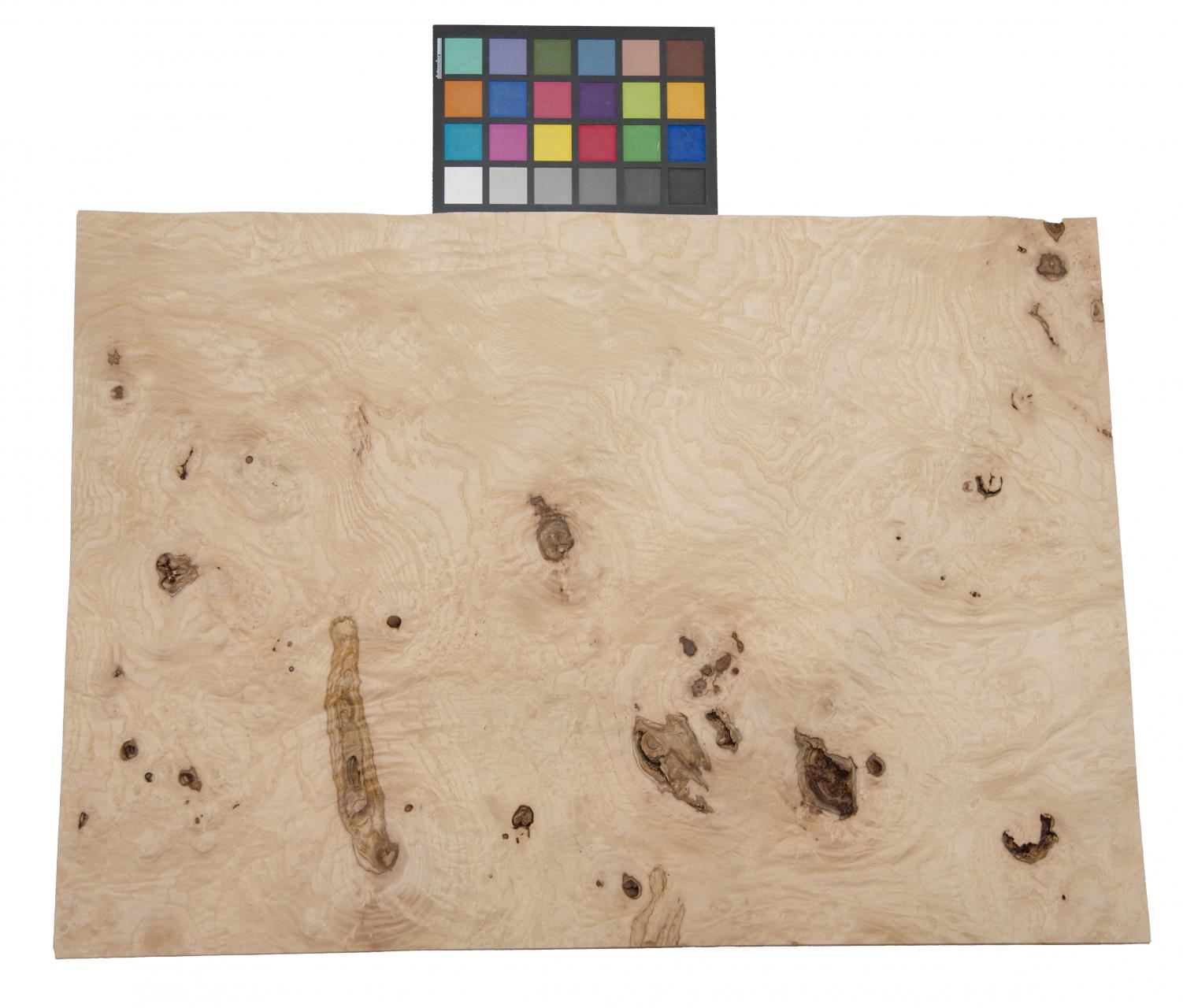 Olive Ash Burl, - veneer (0,6mm) - 7,95m² (24pcs. x 69cm x 48cm)
