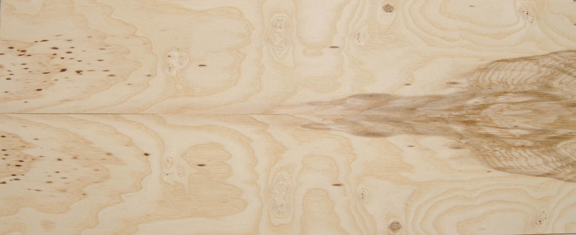 Olive Ash Burl, - veneer (0,6mm) - 1,84m² (15pcs. x 79cm x 15,5cm)