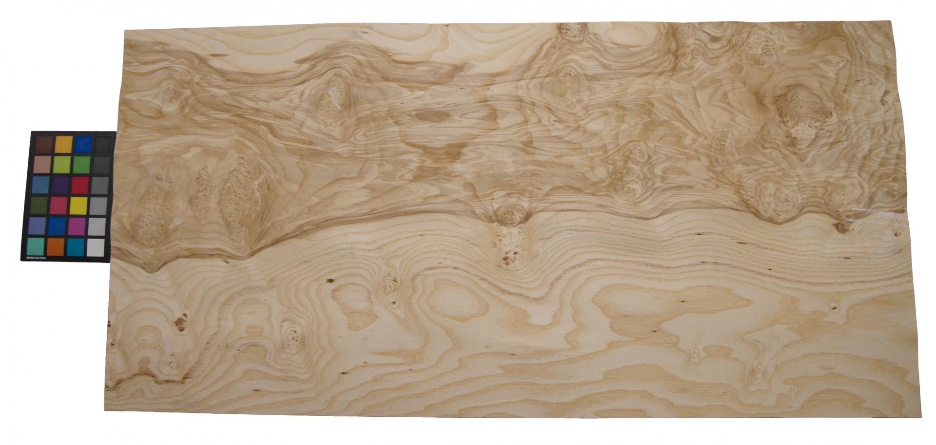 Olive Ash Burl, - veneer (0,6mm) - 8,15m² (13pcs. x 114cm x 55cm)