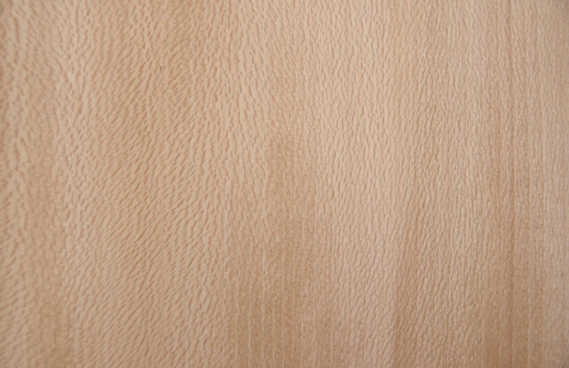 Platane -Furnier (0,6mm) - 0,96m² (30Stk. x 16cm x 20cm)