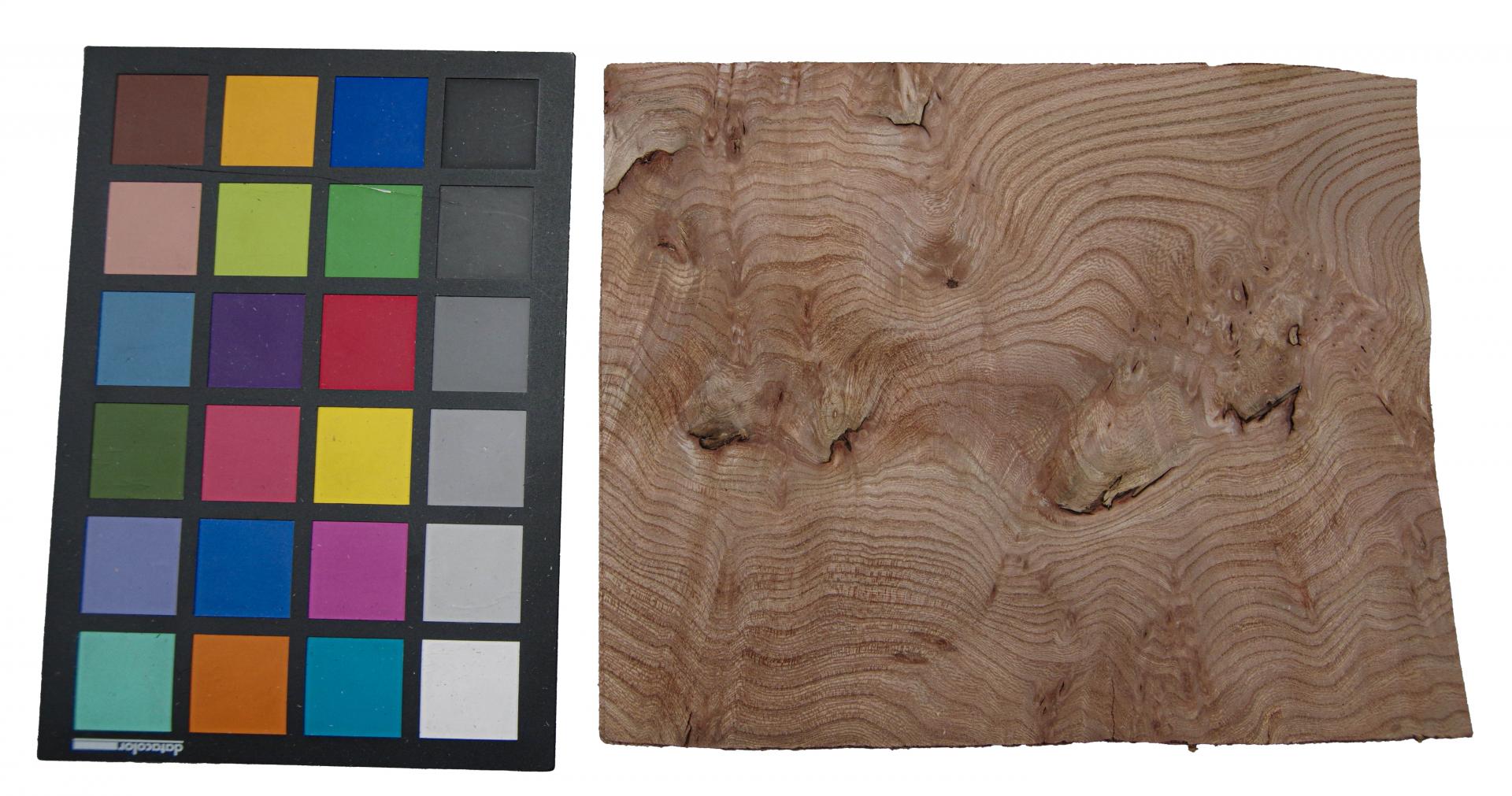 Rüster (Ulme) Halbmaser -Furnier (0,6mm) - 0,2m² (5Stk. x 22cm x 18cm)