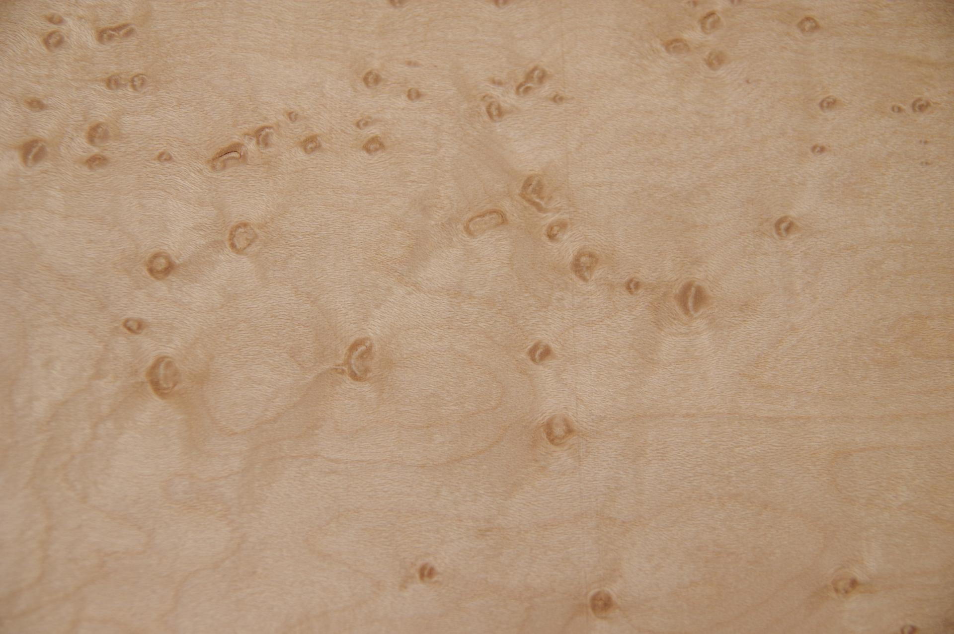 Vogelaugenahorn -Furnier (0,6mm) - 0,39m² (14Stk. x 15cm x 18,5cm)