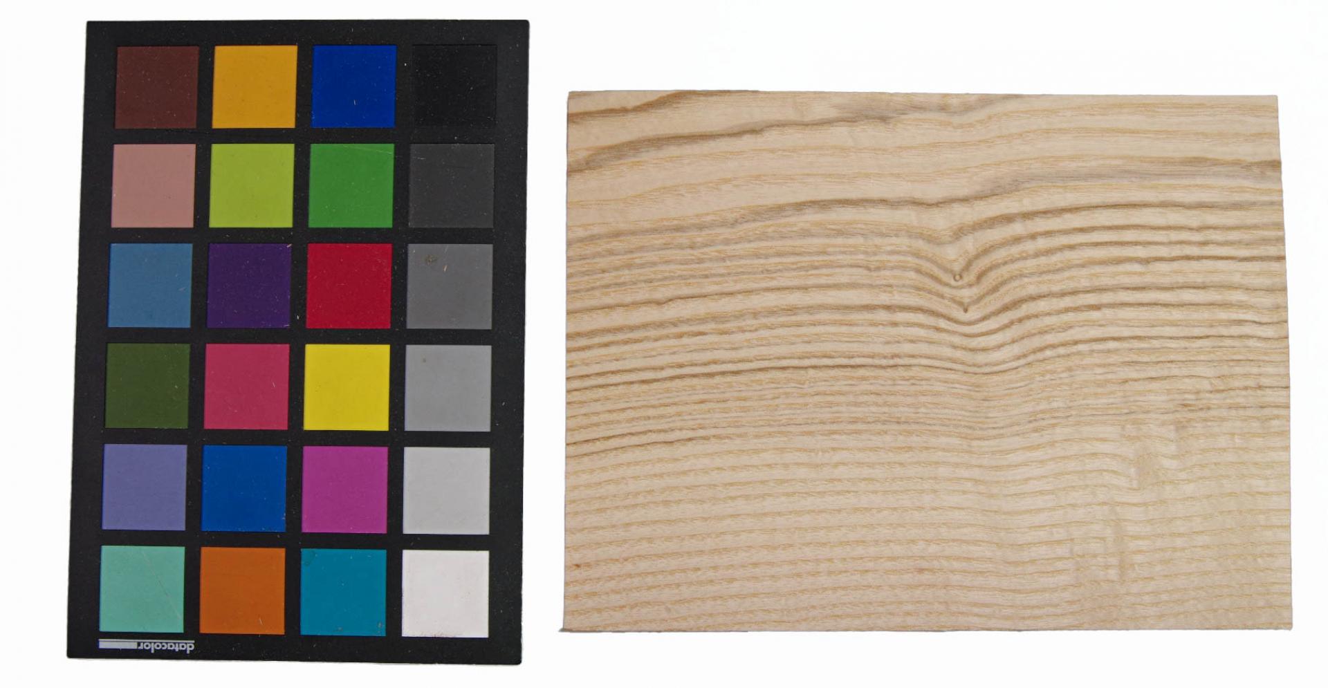Olive Ash, veneer with Colour reference card