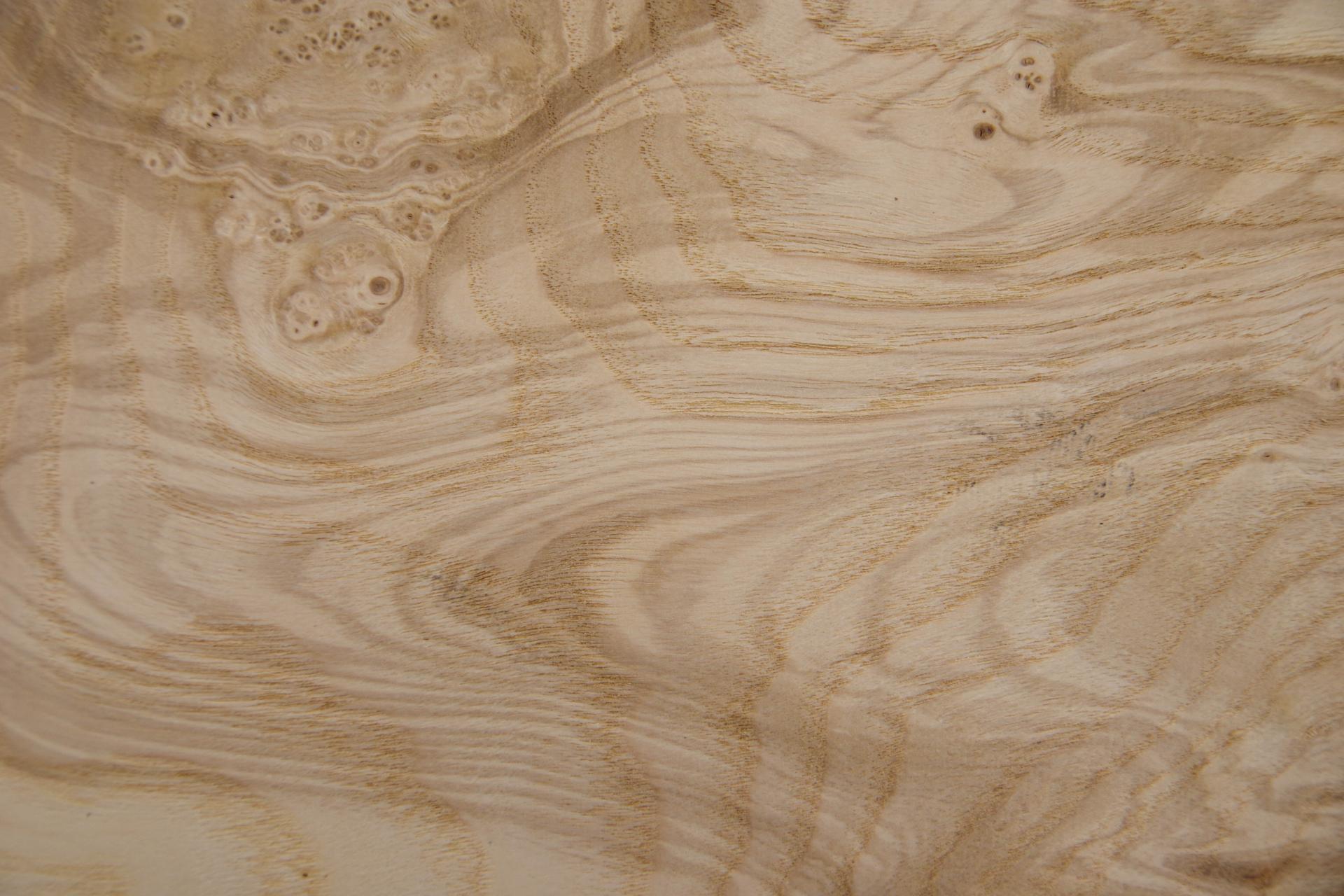 Olive Ash Burl, - veneer (0,6mm) - 2,05m² (8pcs. x 190cm x 13,5cm)