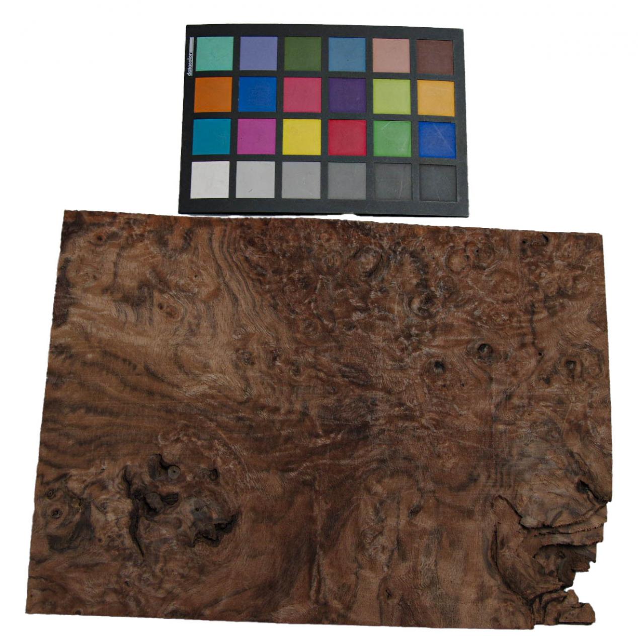 Californian Walnut Burl, - veneer (1,5mm) - 0,96m² (11pcs. x 35cm x 25cm)