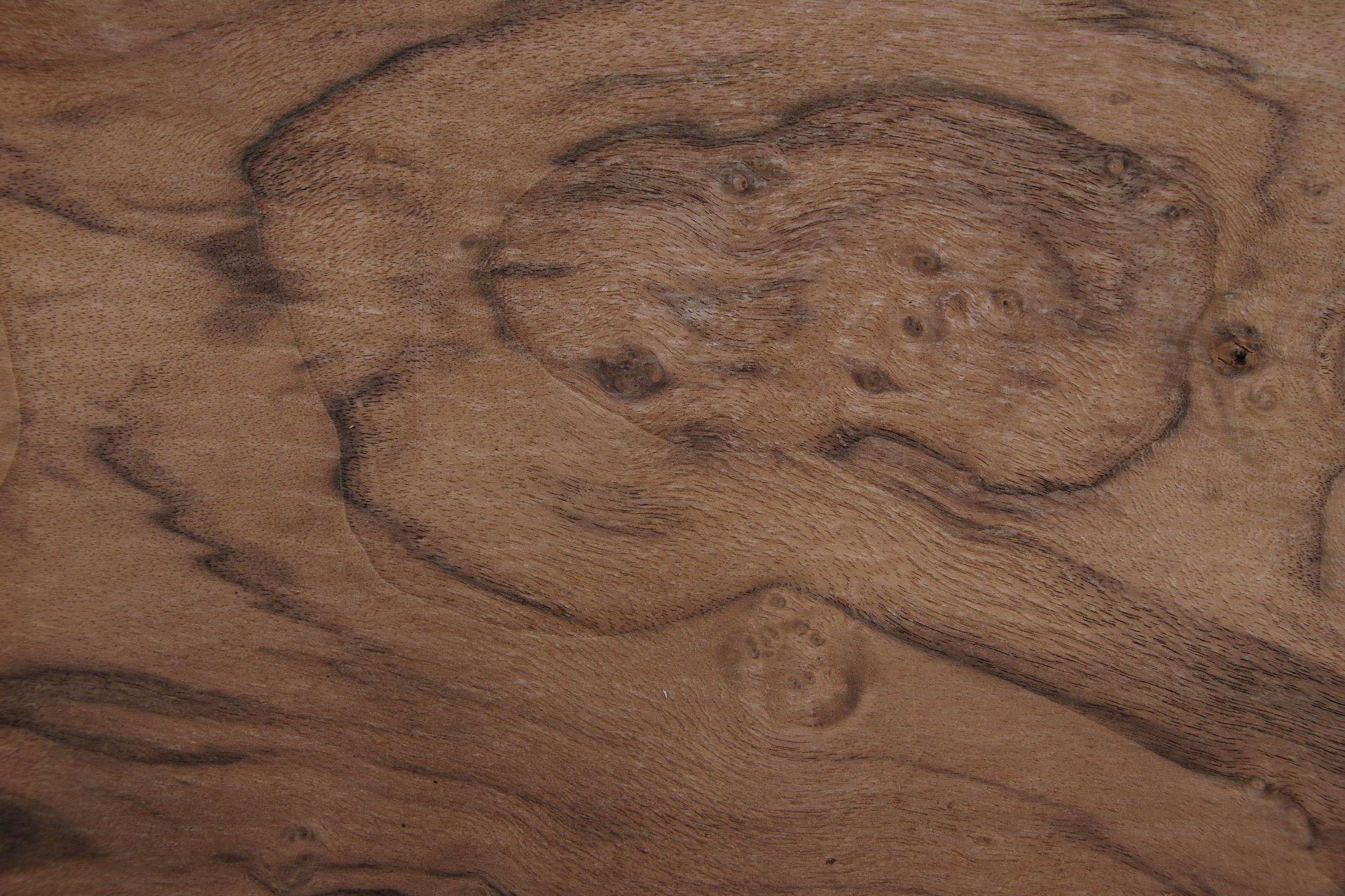 Californian Walnut Burl, - veneer (1,8mm) - 0,24m² (8pcs. x 21cm x 14cm)