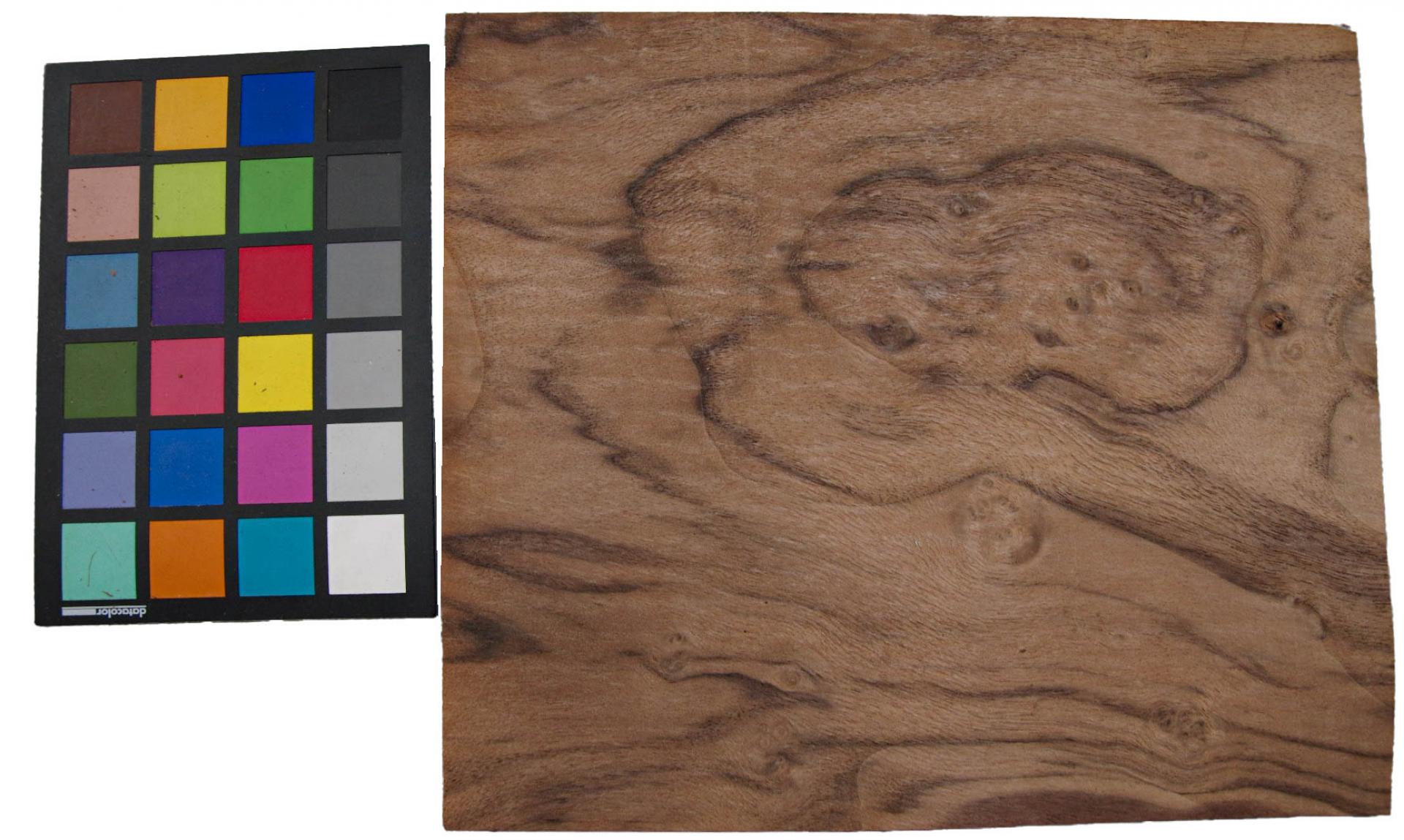 Californian Walnut Burl, - veneer (1,8mm) - 0,24m² (8pcs. x 21cm x 14cm)
