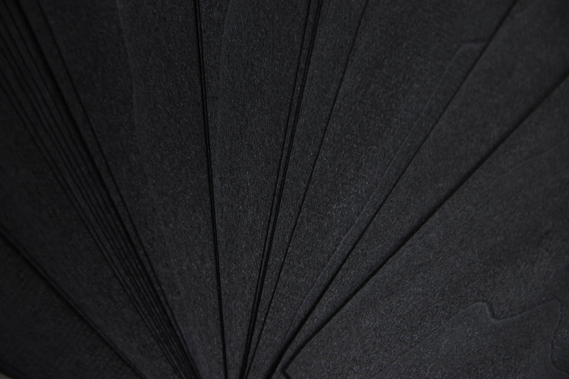 Tulipier; Tulipwood, black colored, - veneer (0,6mm) - 0,12m² (20pcs. x 12cm x 5cm)
