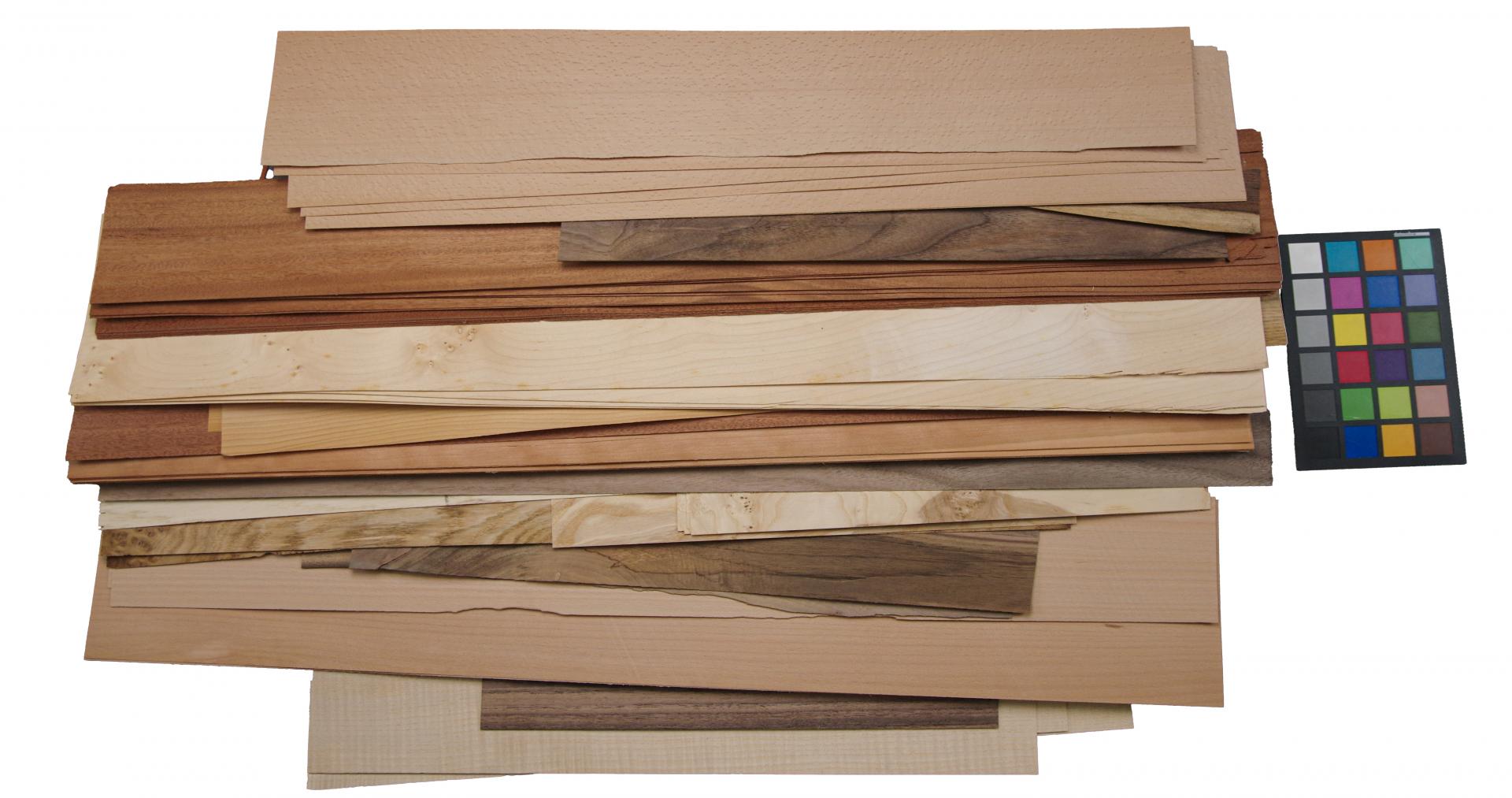 Einzelblätter und Abschnitte