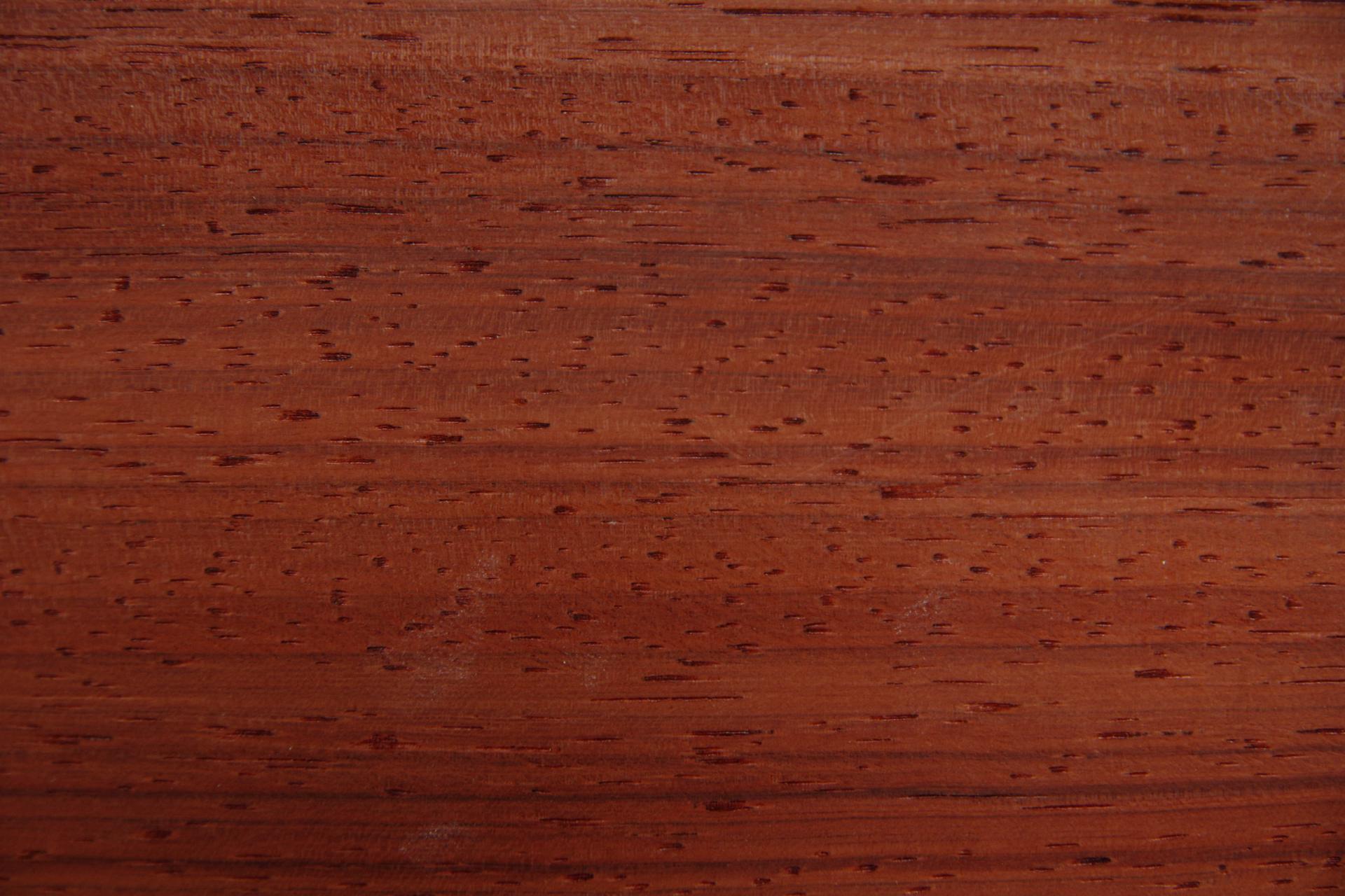 Padouk, - veneer (0,6mm) - 0,61m² (60pcs. x 12cm x 8,5cm)