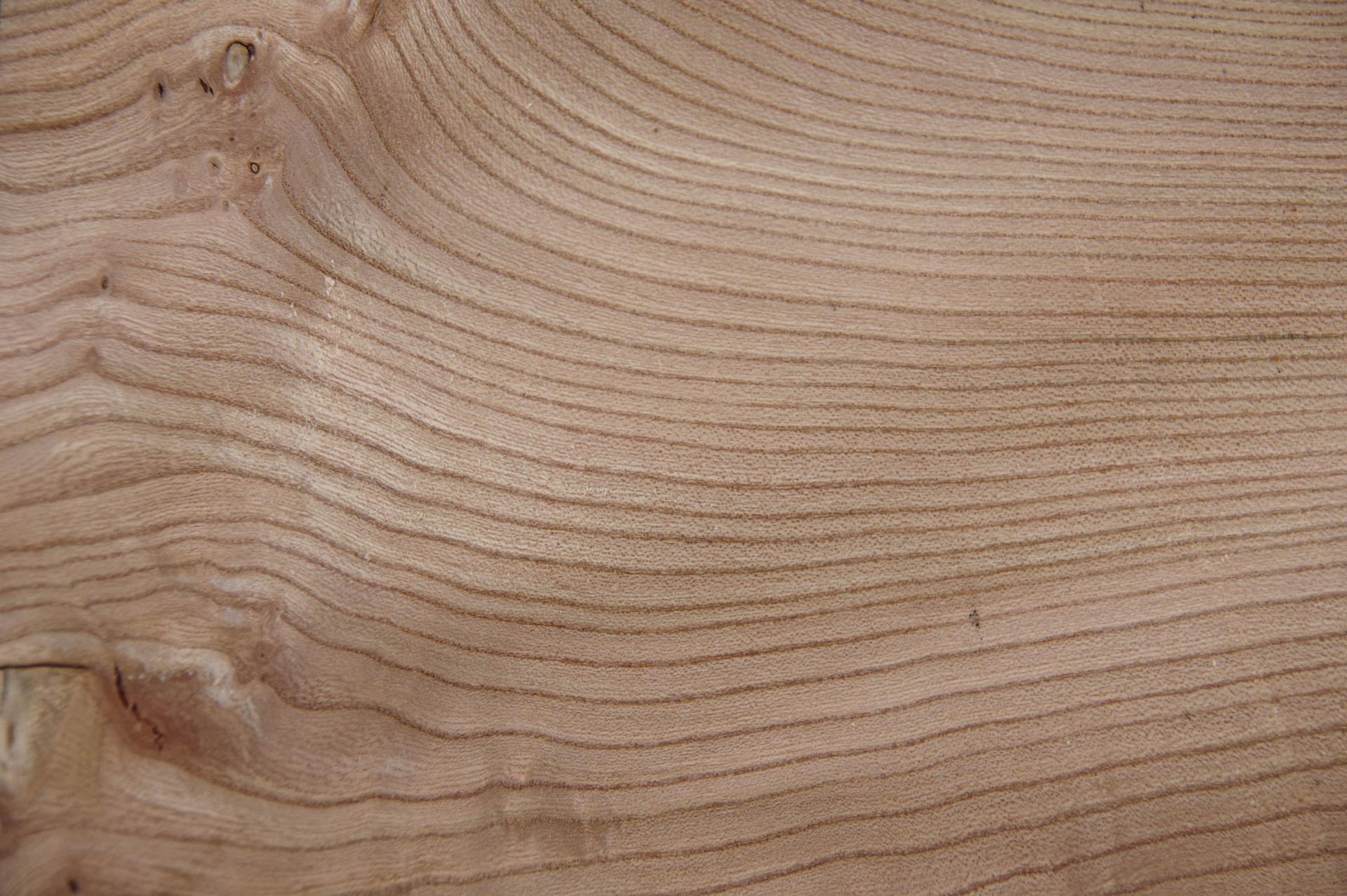Rüster (Ulme) -Furnier (0,6mm) - 0,56m² (18Stk. x 24cm x 13cm)