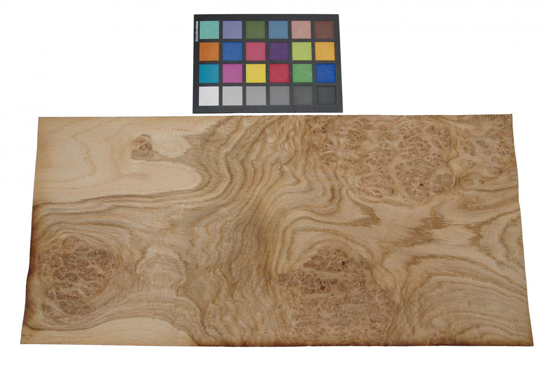 Oak Burl (Roseoak), - veneer (0,6mm) - 3,95m² (24pcs. x 61cm x 27cm)