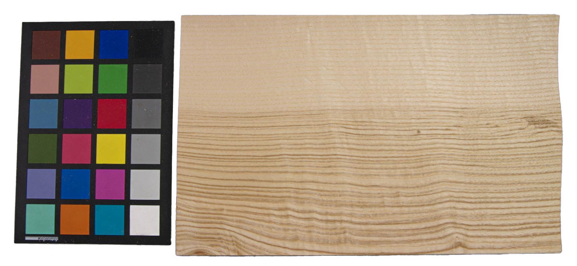Olive Ash, veneer with Colour reference card