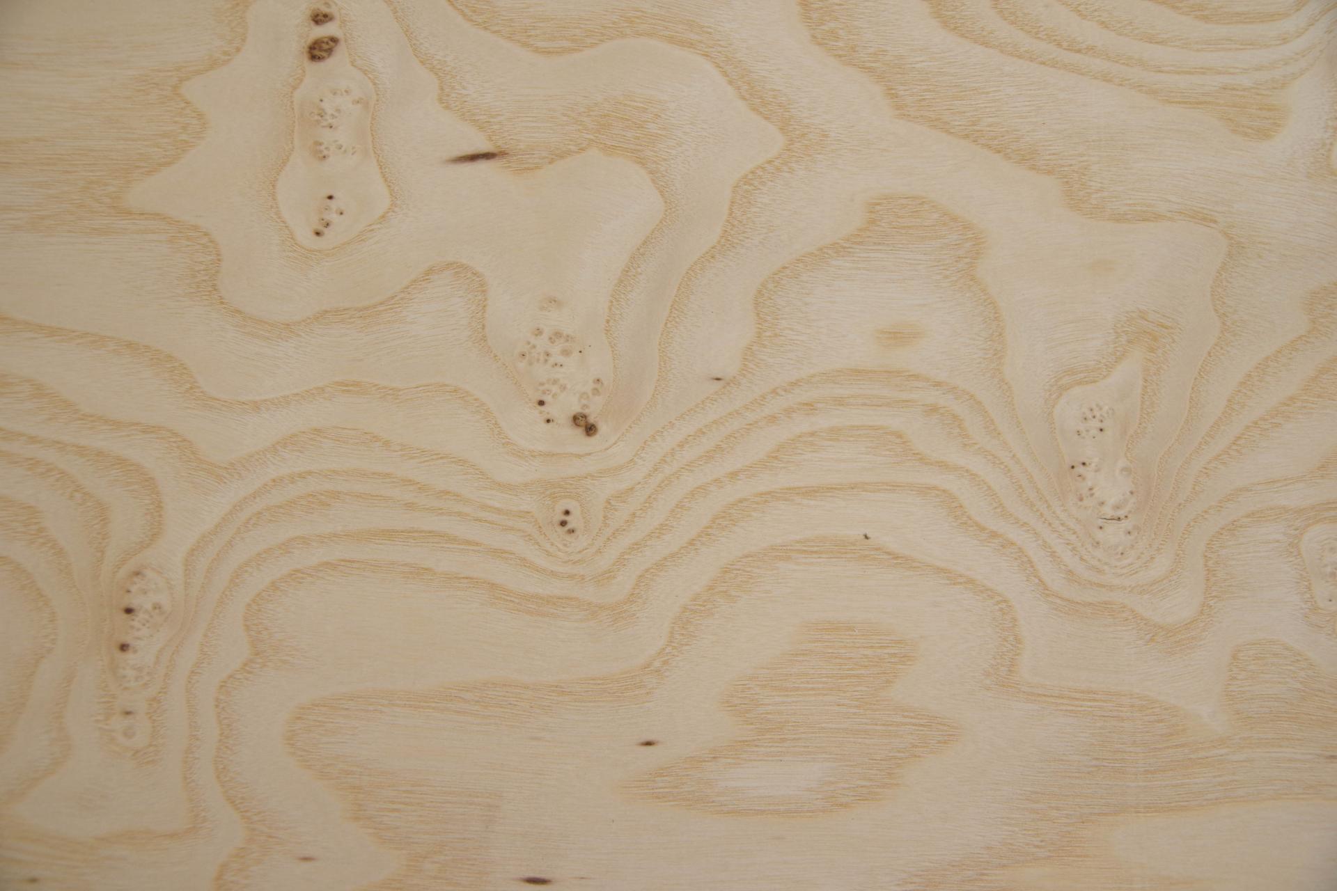White Ash Burl, - veneer (0,6mm) - 6,79m² (11pcs. x 213cm x 29cm)