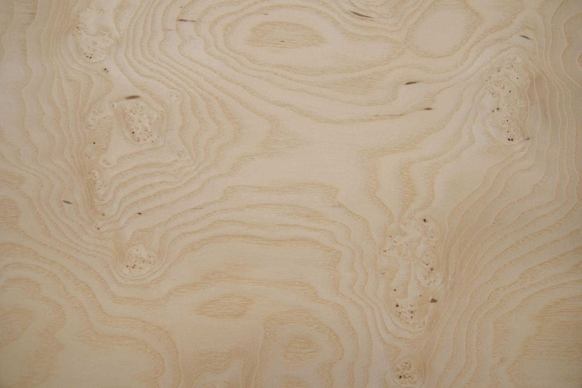 Esche Maser, weiß -Furnier (0,6mm) - 1,73m² (6Stk. x 72cm x 40cm)