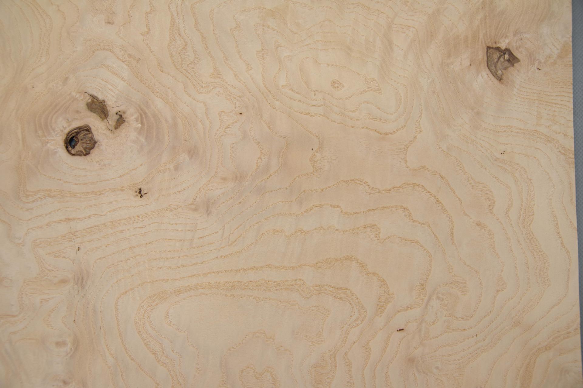 Esche Maser, weiß -Furnier (0,6mm) - 1,03m² (6Stk. x 39cm x 44cm)