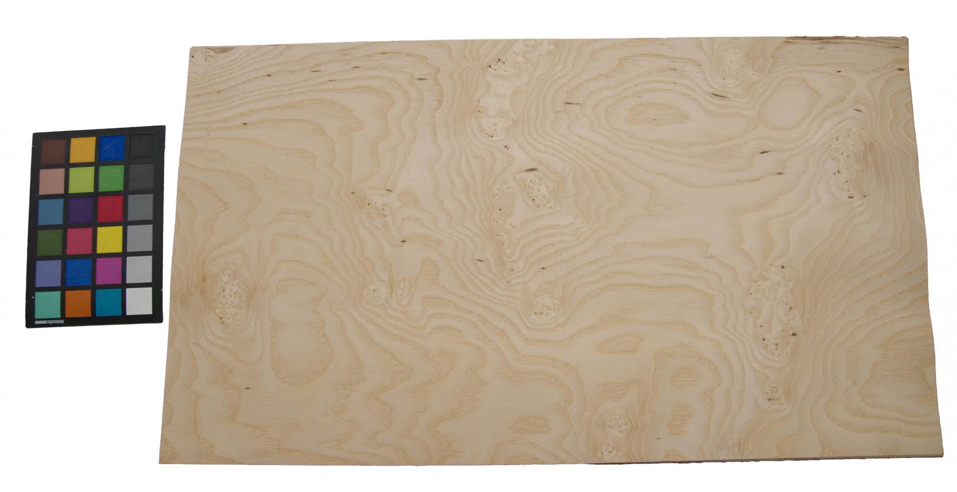 Esche Maser, weiß -Furnier (0,6mm) - 1,73m² (6Stk. x 72cm x 40cm)