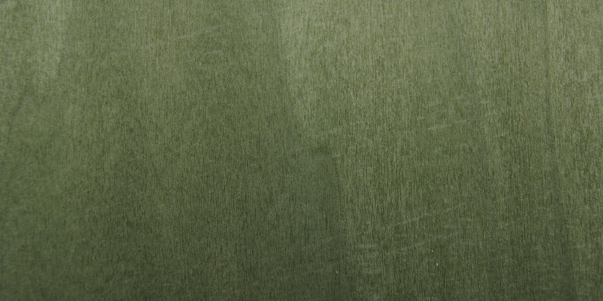 Tulipier, grün gefärbtes -Furnier (0,6mm) - 0,24m² (28Stk. x 6,5cm x 13cm)