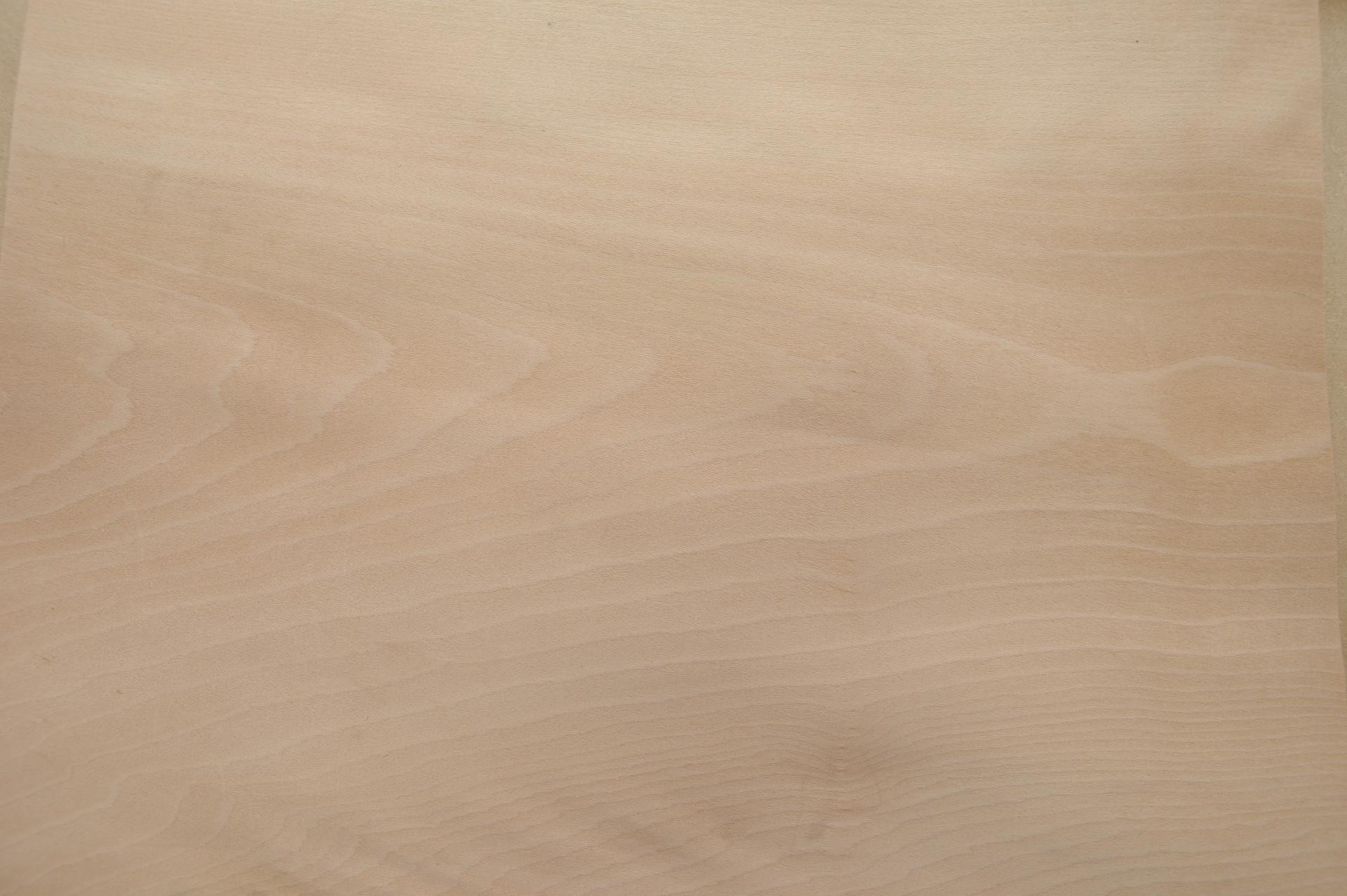 0.6mm Platane Furnier 4.49m² D 24 52 36