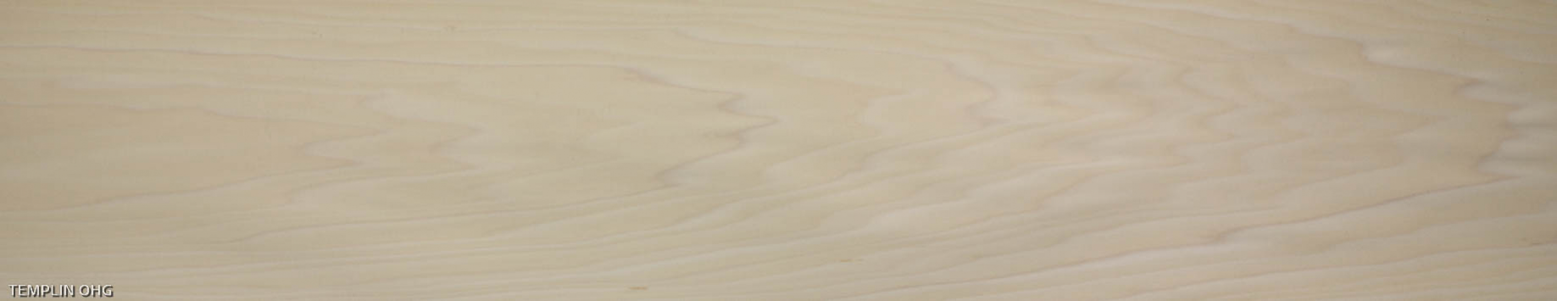 0,6mm Tulpenbaum (Whitewood) Furnier 5,45m² E 14 139 28