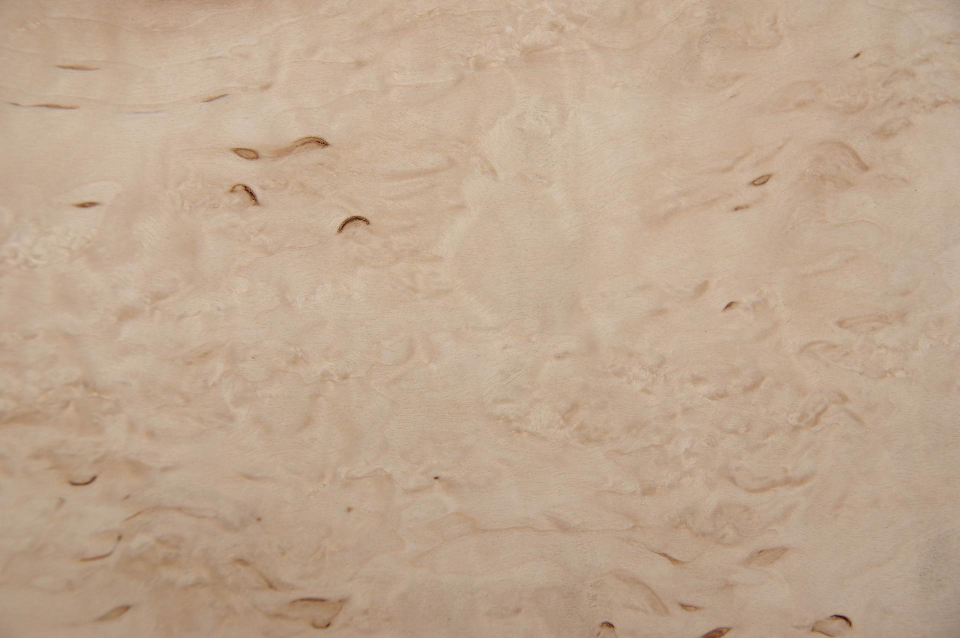 Birke Maser -Furnier (0,6mm) - 0,69m² (12Stk. x 41cm x 14cm)