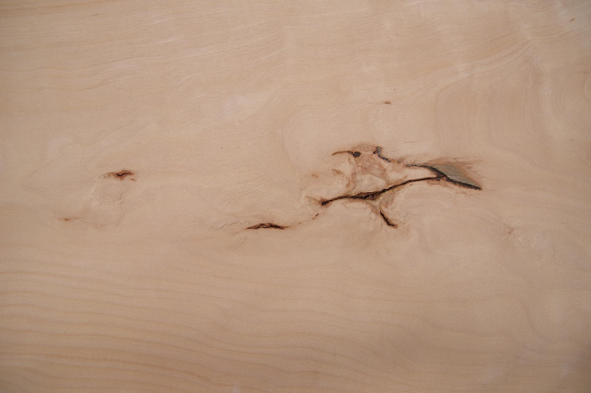 Buche -Furnier (2,4mm) - 4,12m² (8Stk. x 103cm x 50cm)