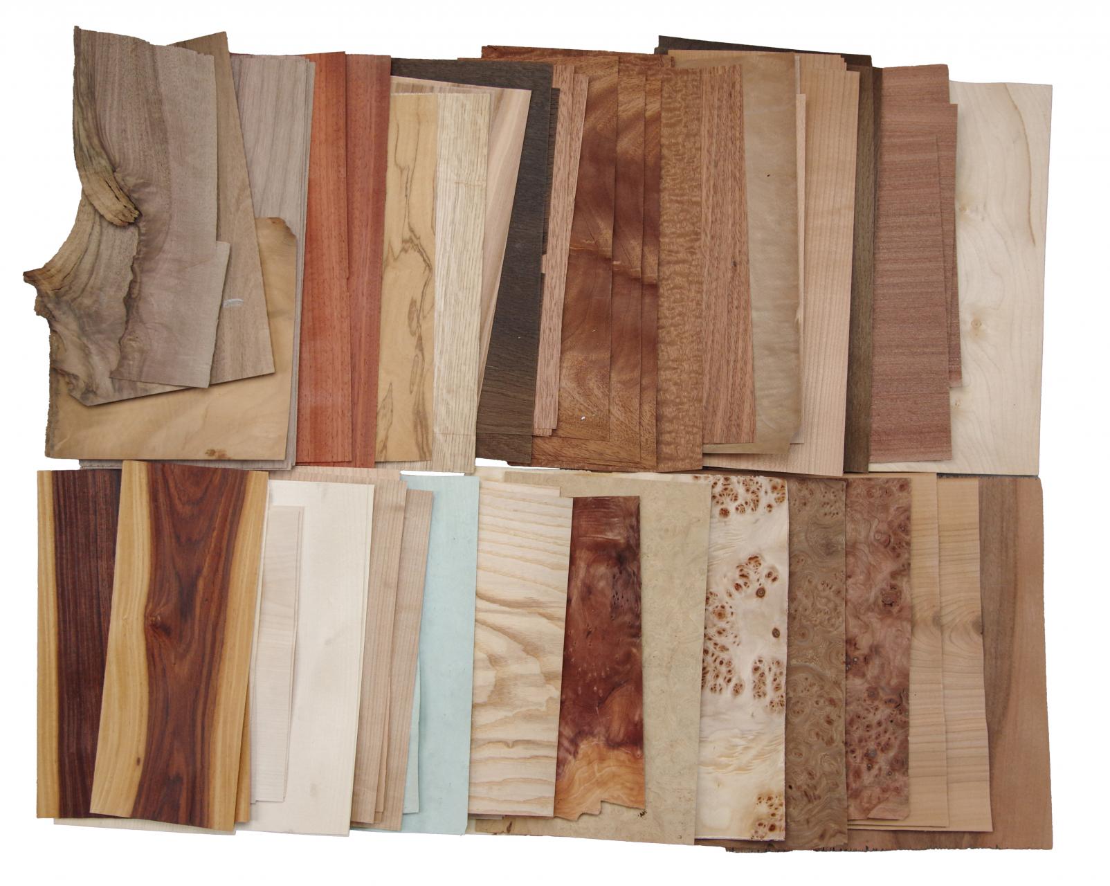 Einzelblätter und Abschnitte