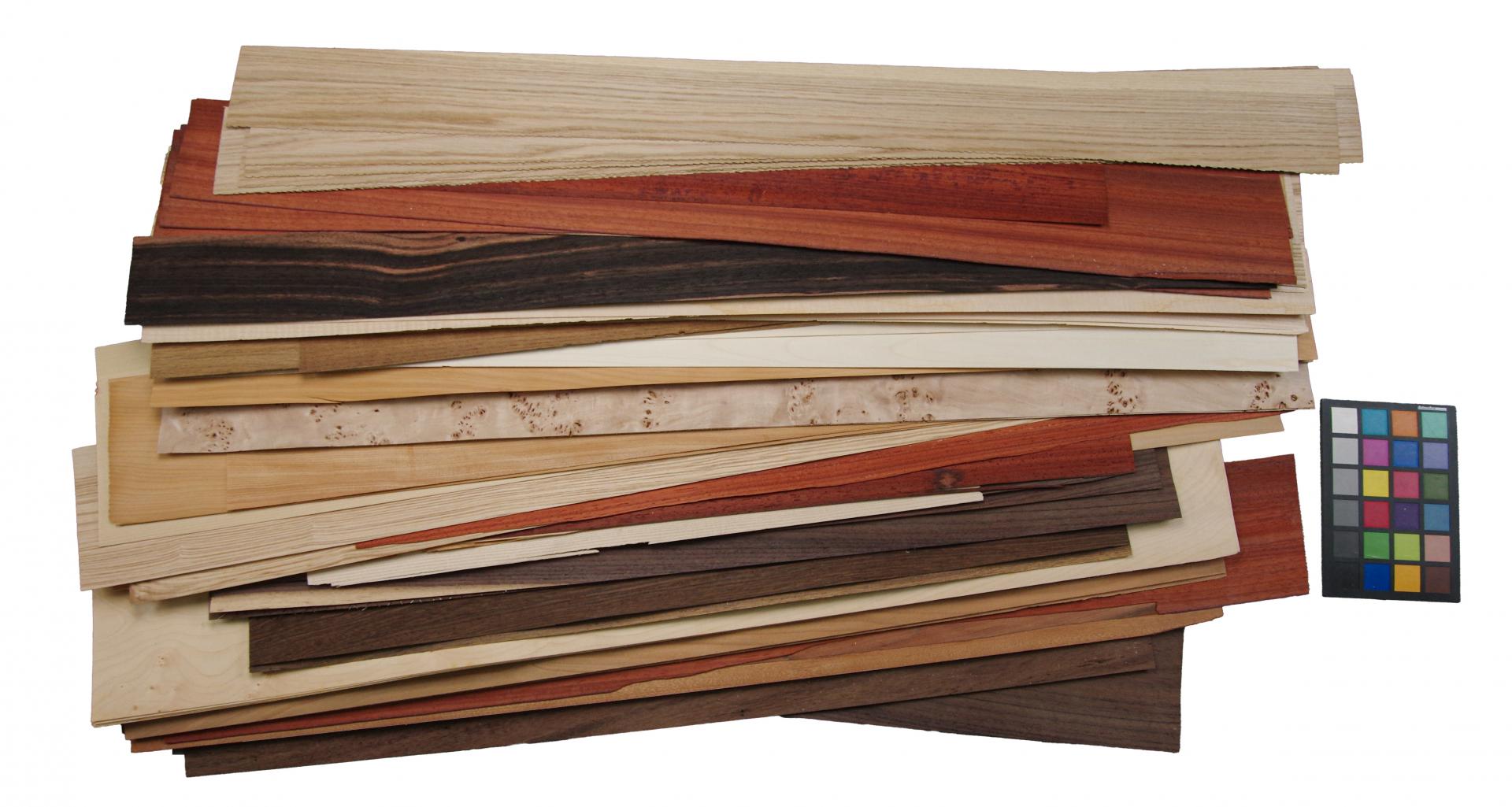 Einzelblätter und Abschnitte