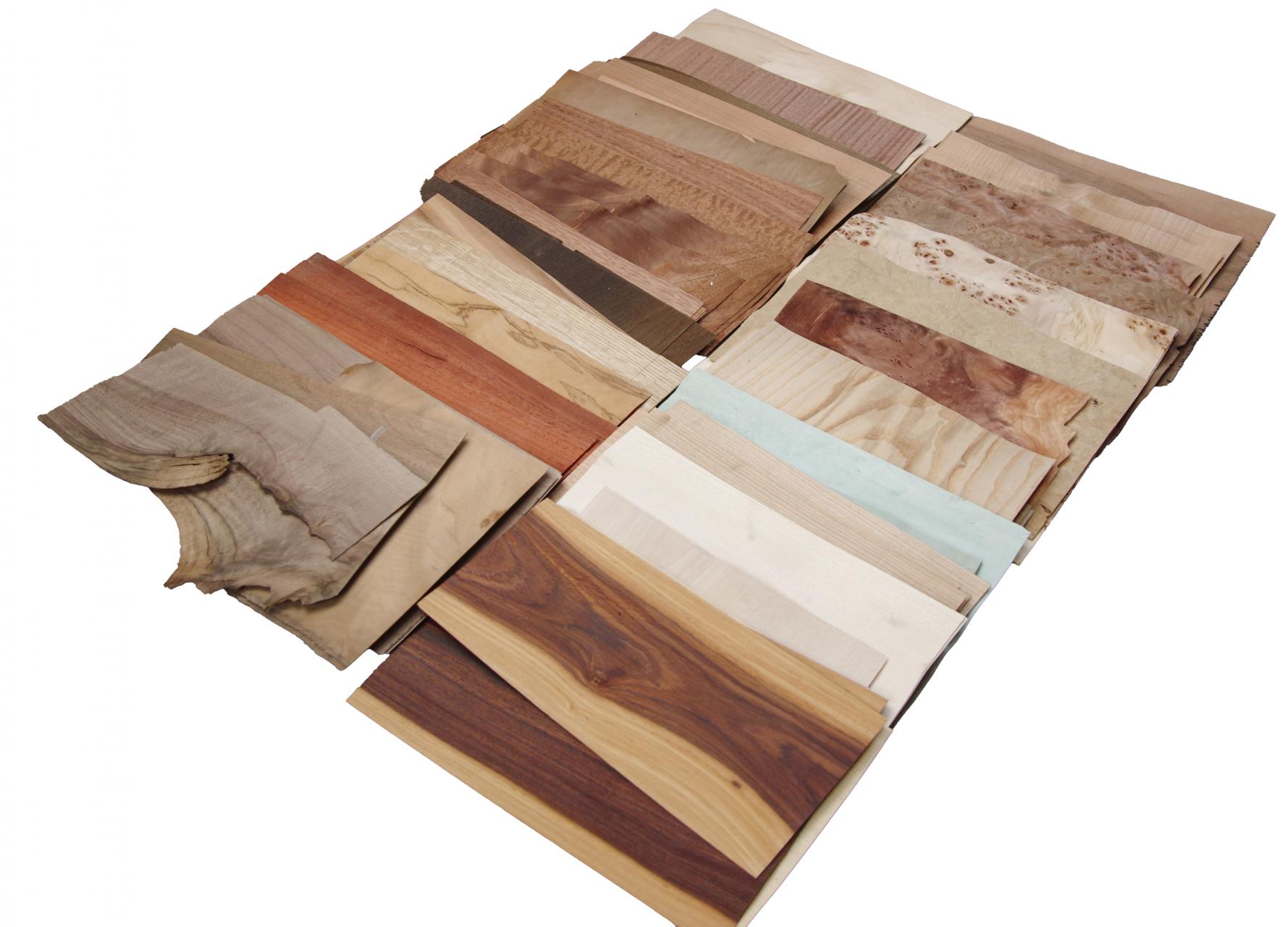 Einzelblätter und Abschnitte