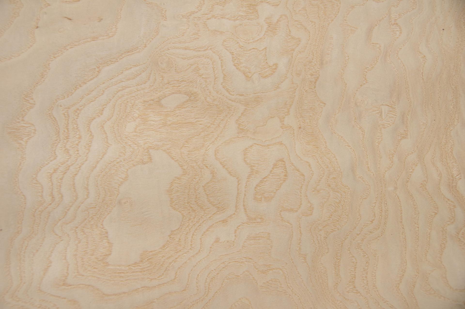 Esche Maser, weiß -Furnier (0,6mm) - 3,17m² (24Stk. x 55cm x 24cm)
