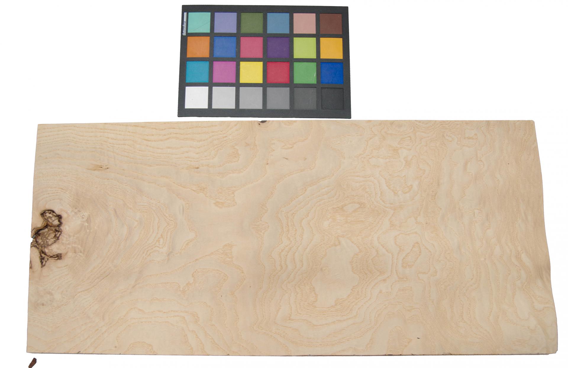 Esche Maser, weiß -Furnier (0,6mm) - 3,17m² (24Stk. x 55cm x 24cm)