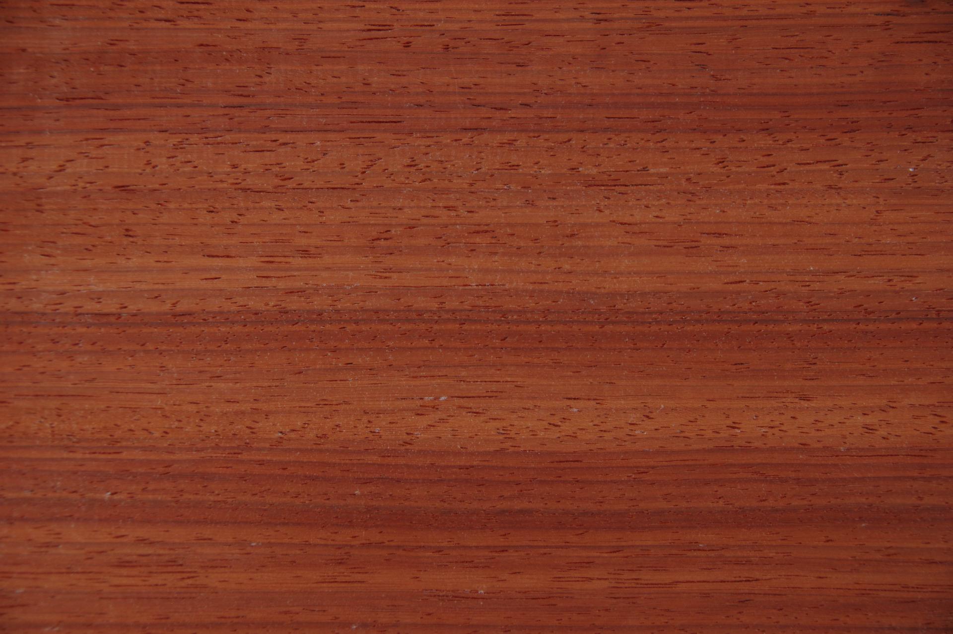 Padouk, - veneer (0,6mm) - 1,34m² (20pcs. x 28cm x 24cm)